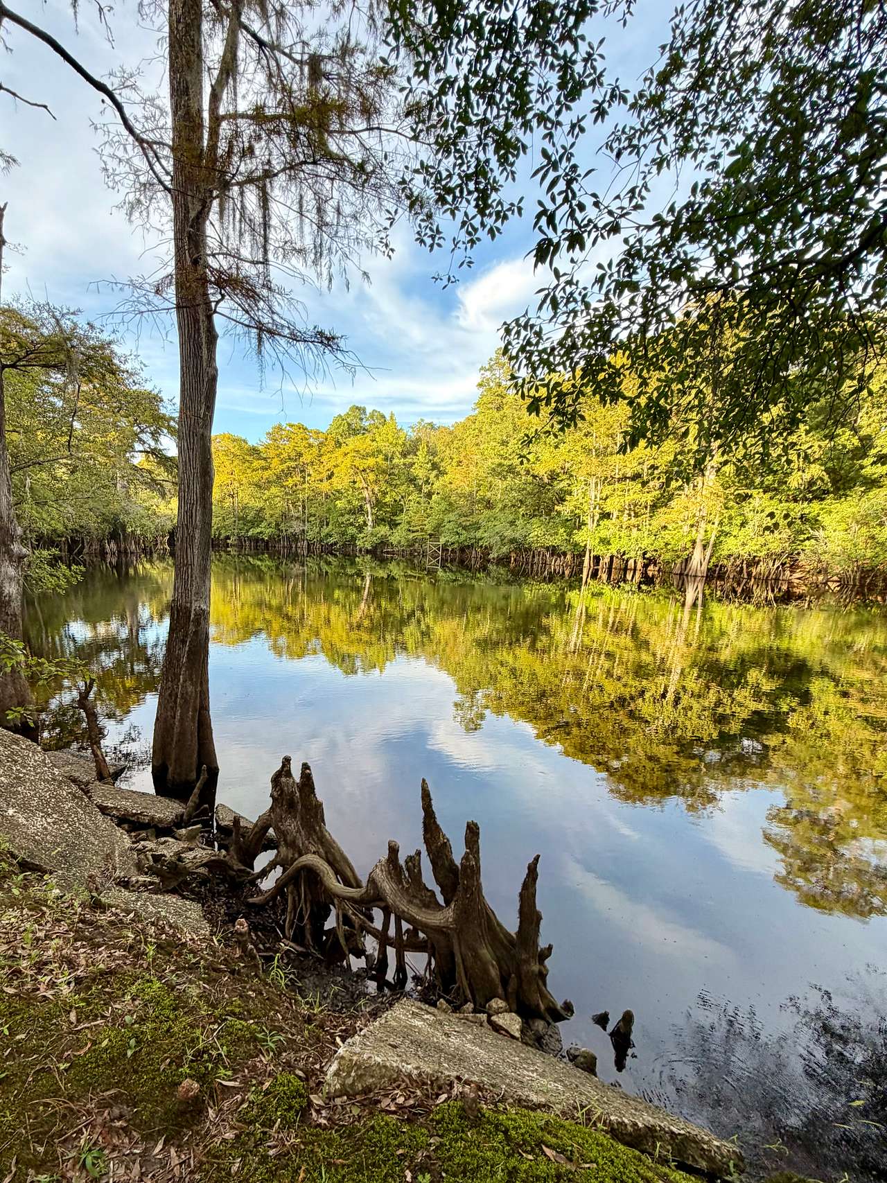 Black River Camping Ventures