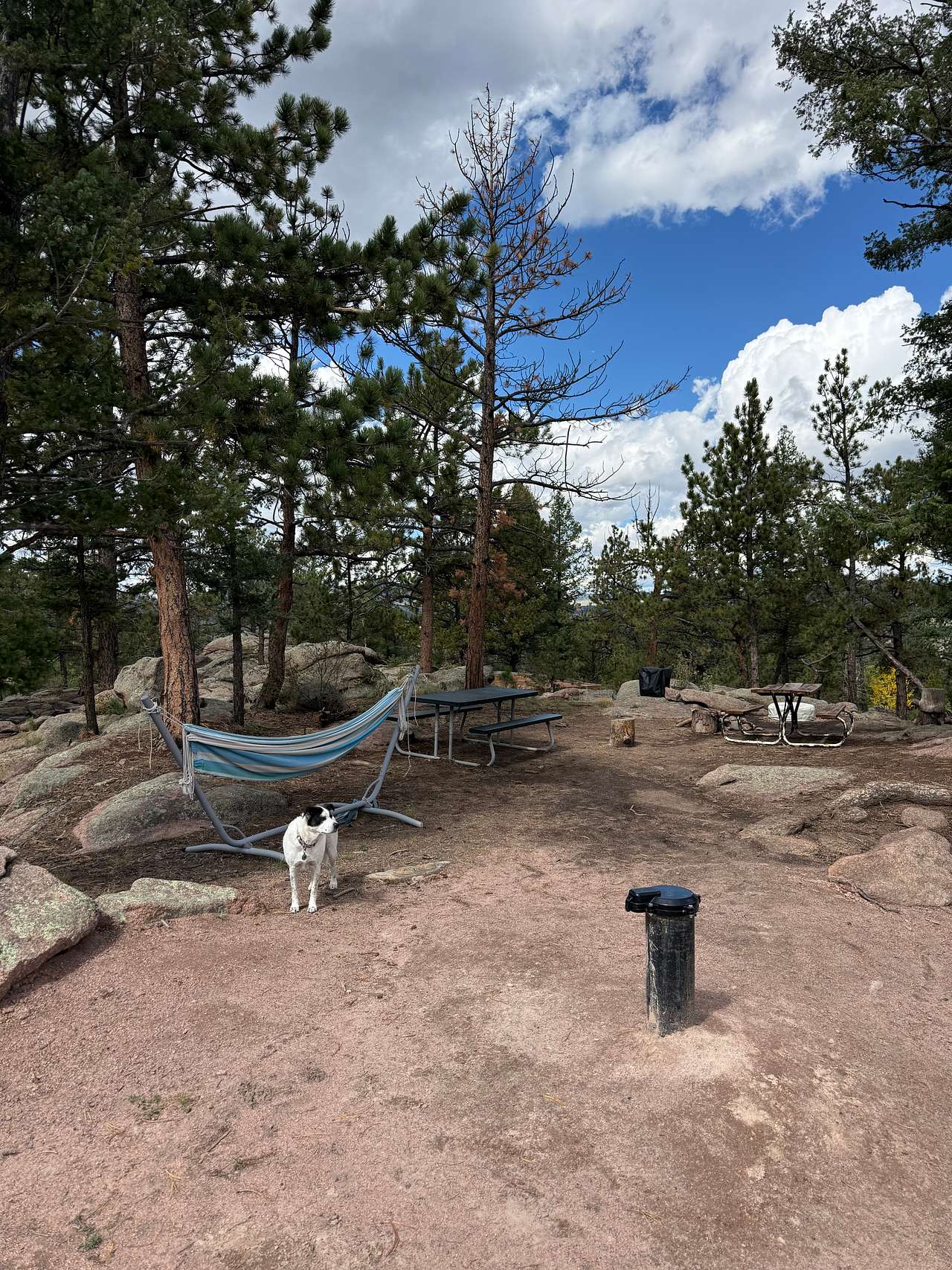 20-Acre Mountain Campsite & Shed