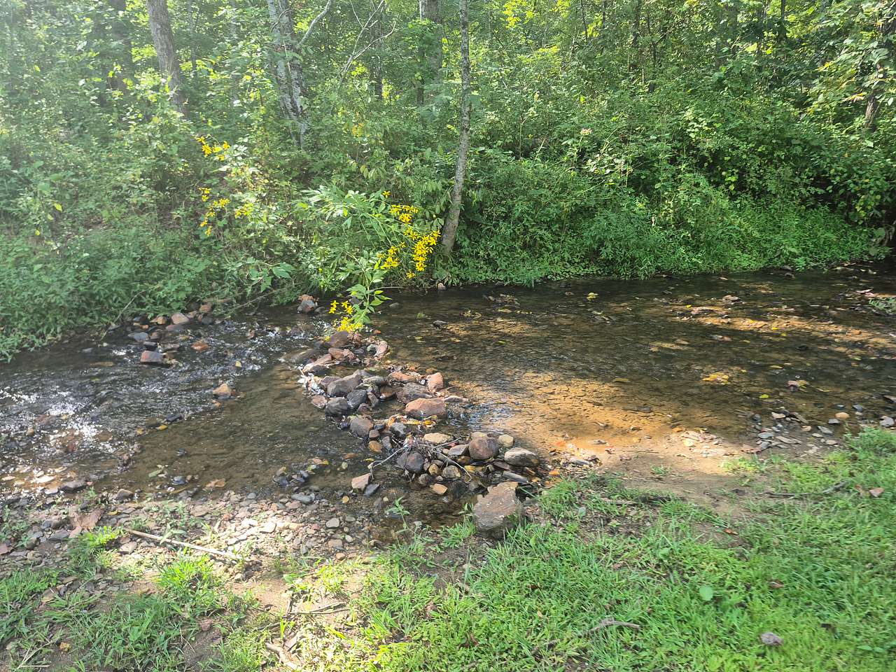 TangleWood Creekside Campsites
