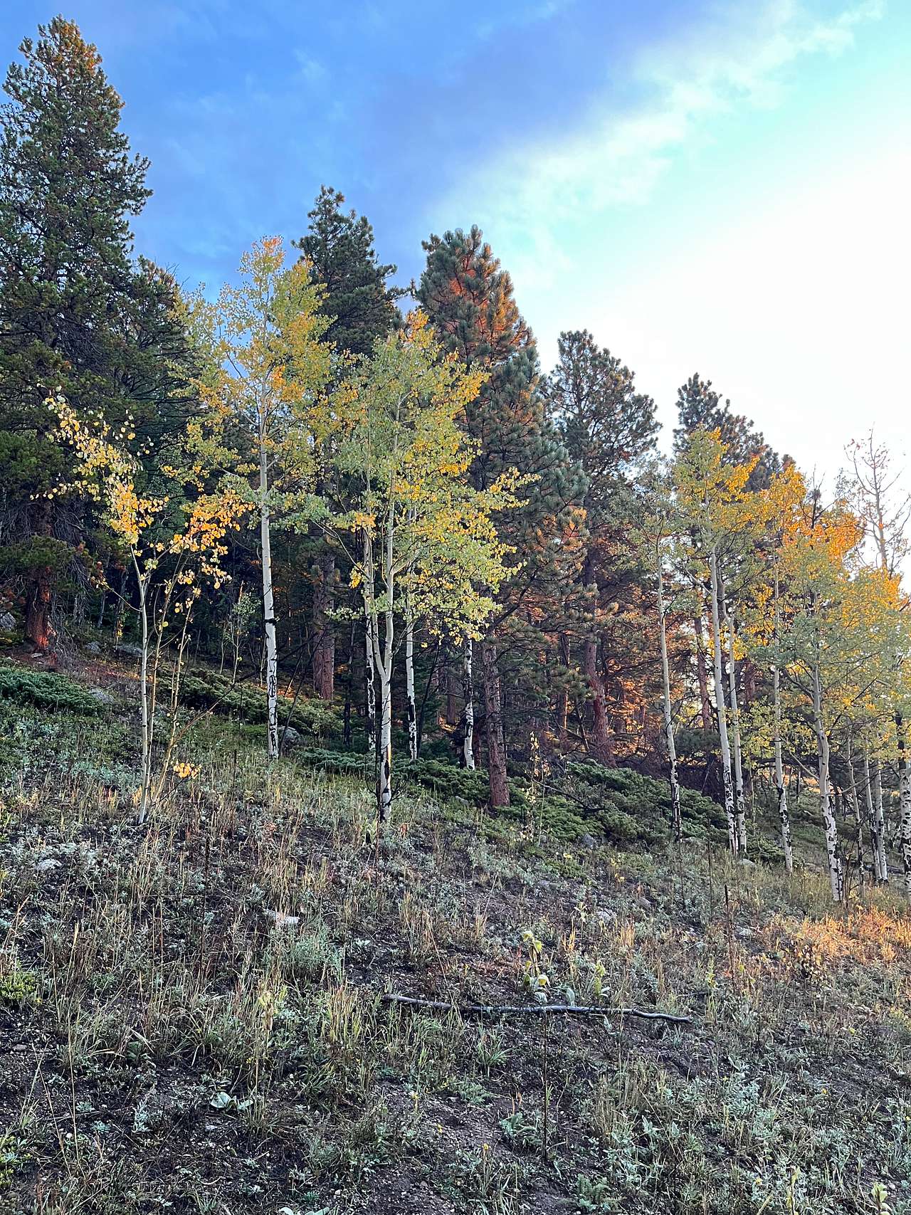 Sherwood Creek Camp and Glamp
