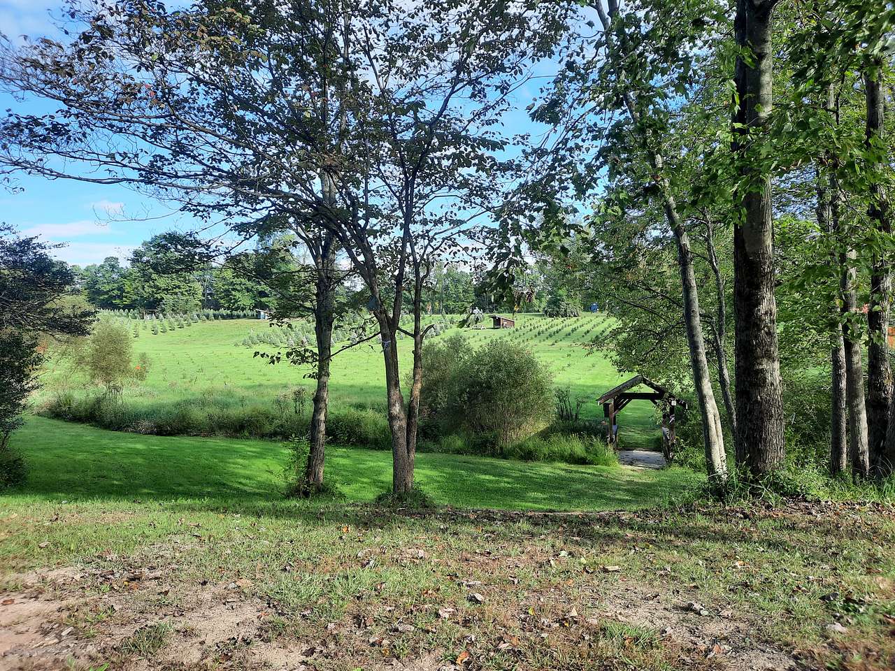 View from site "C"