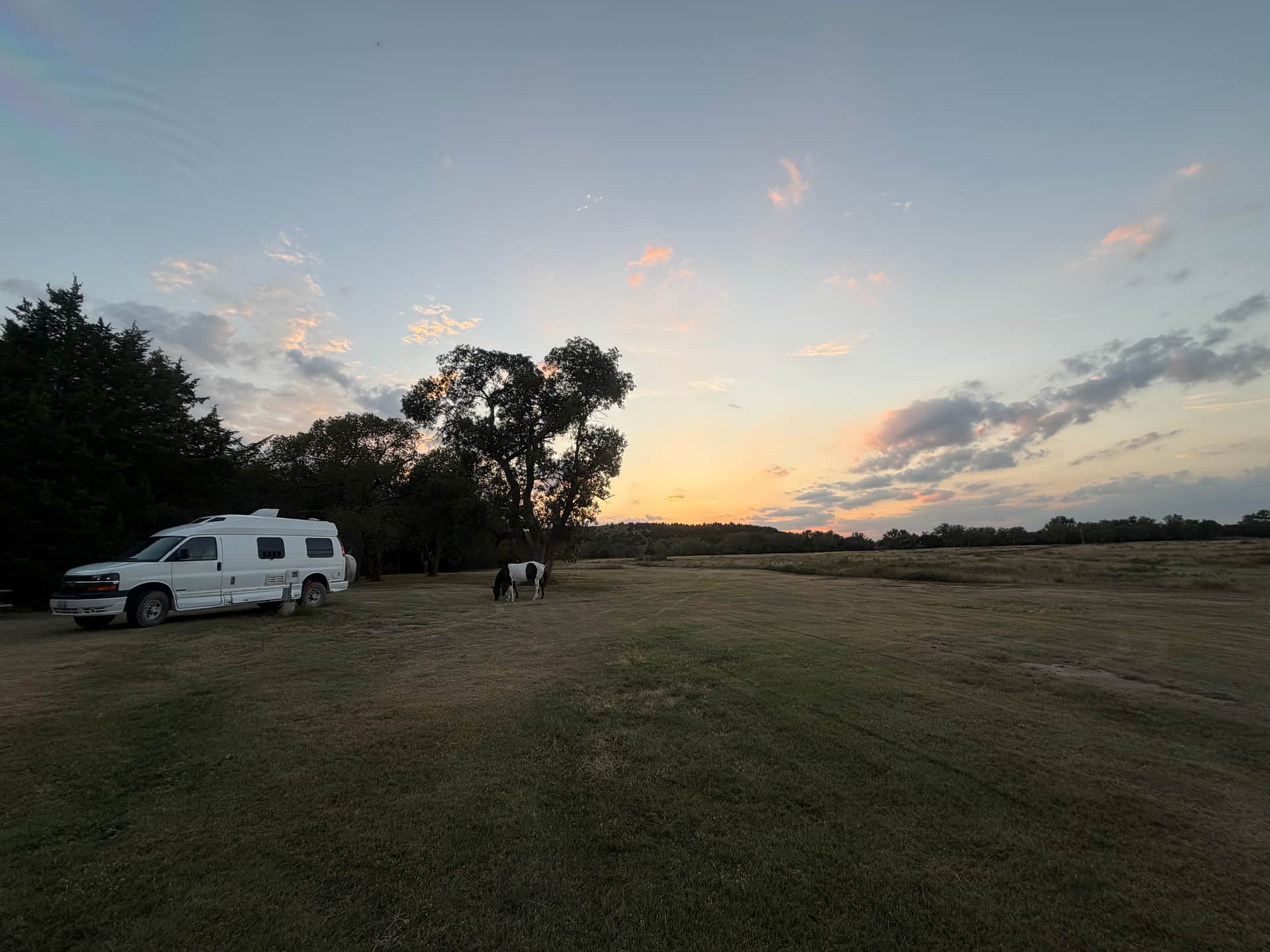 Sunset with camper van and horses