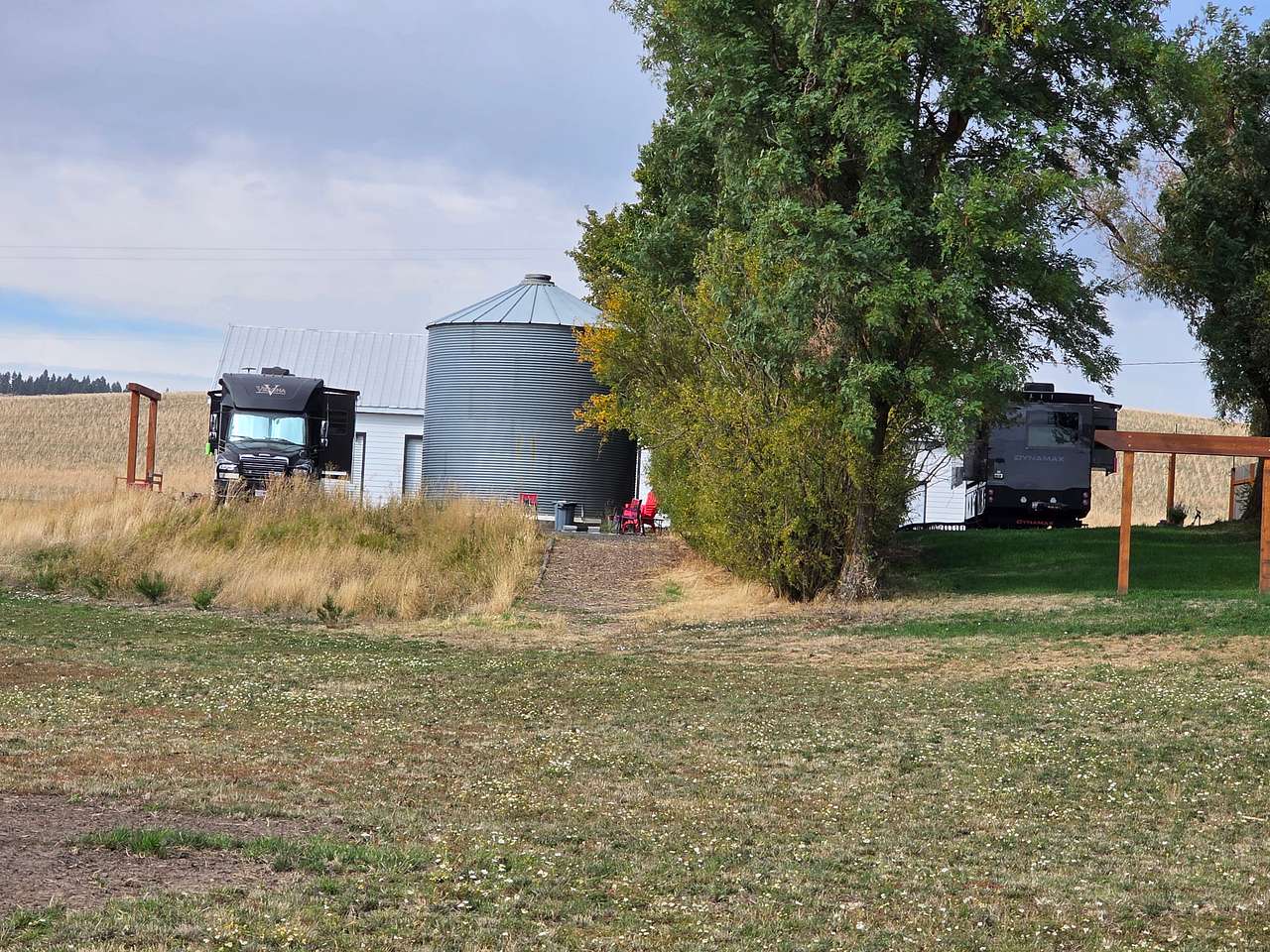 Wheat and Beans