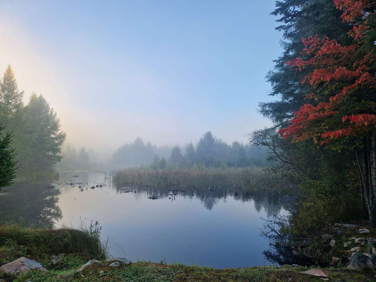 Little Forest Lake