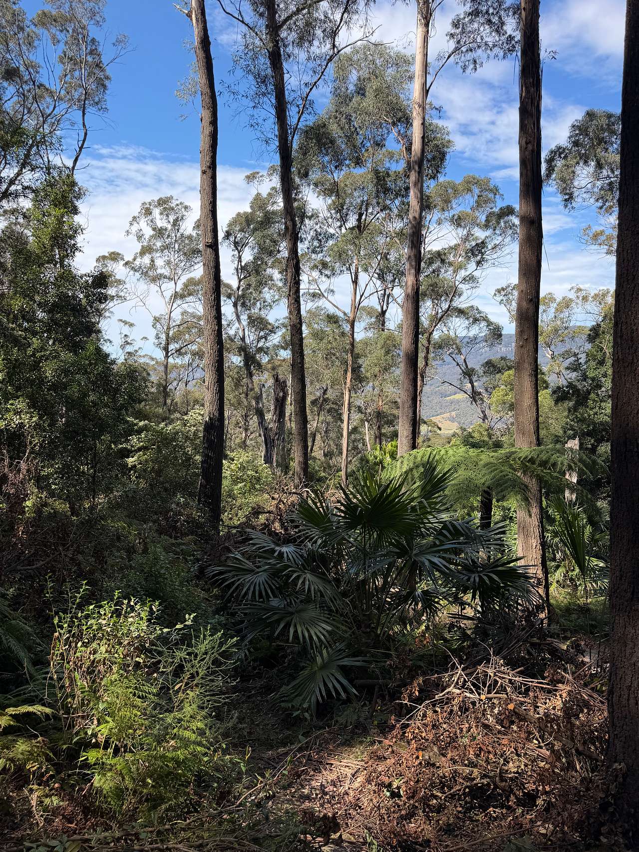 Mellows Ridge