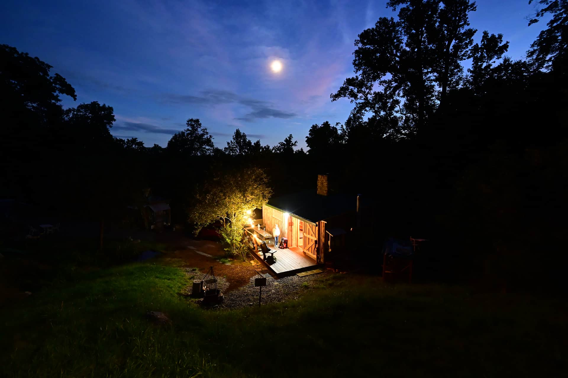 Cat's Camp