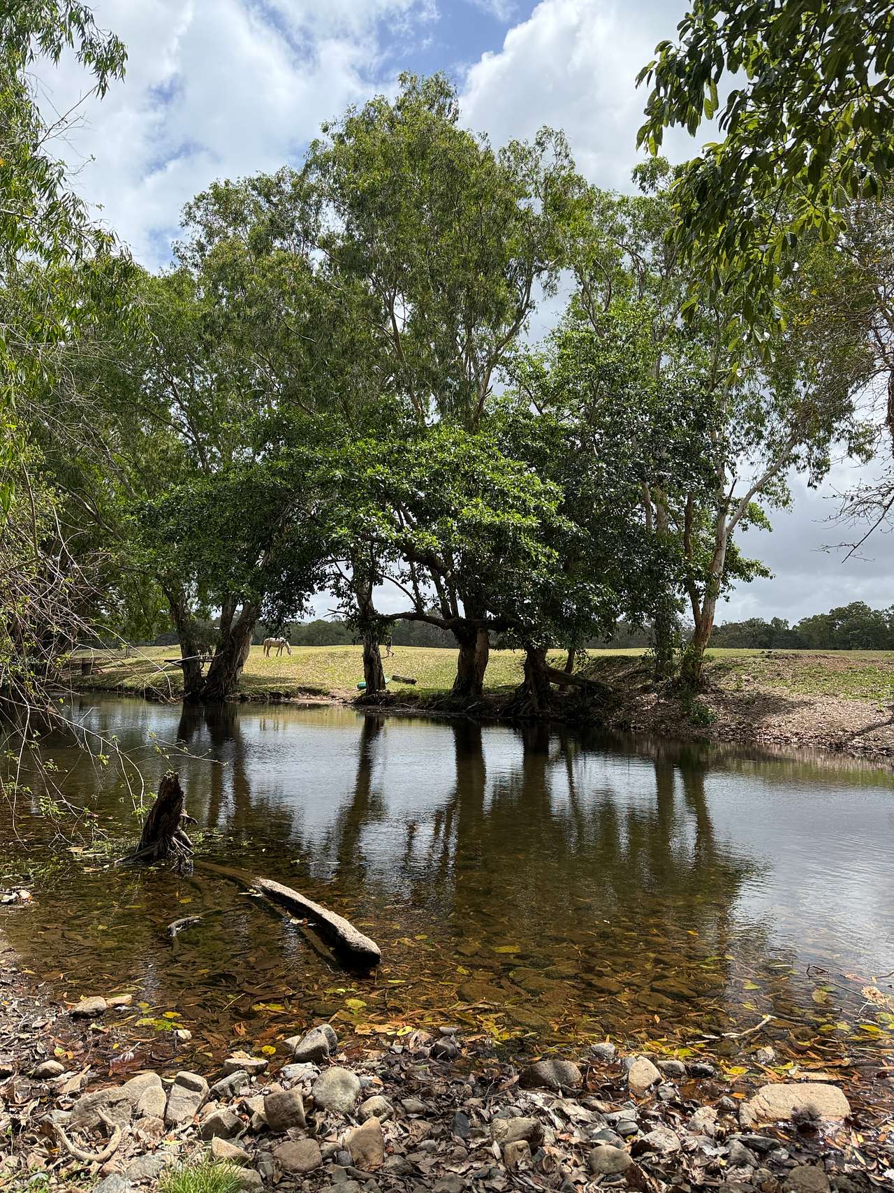 Ilbilbie Station Farm Stay