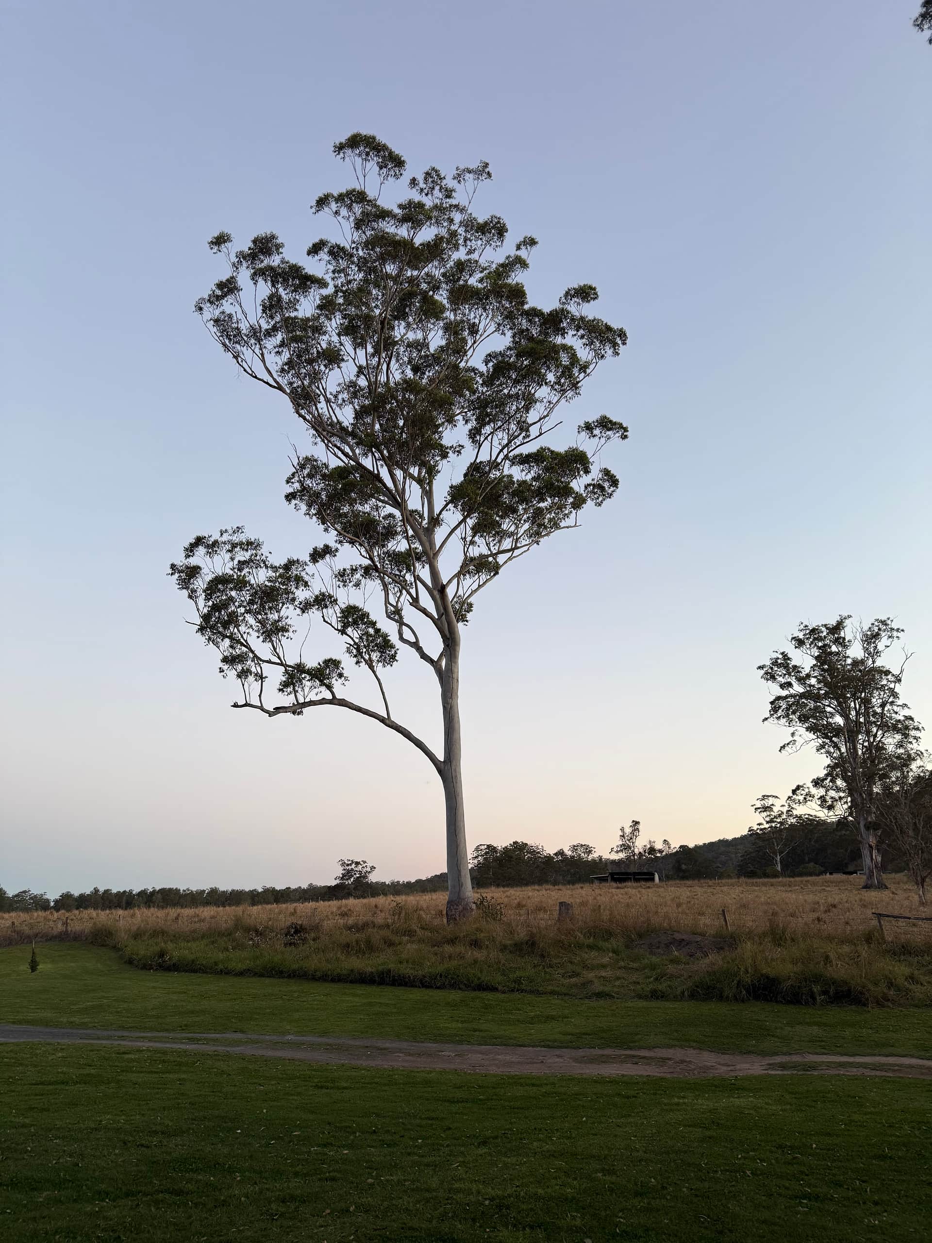 Bundilla River Camp