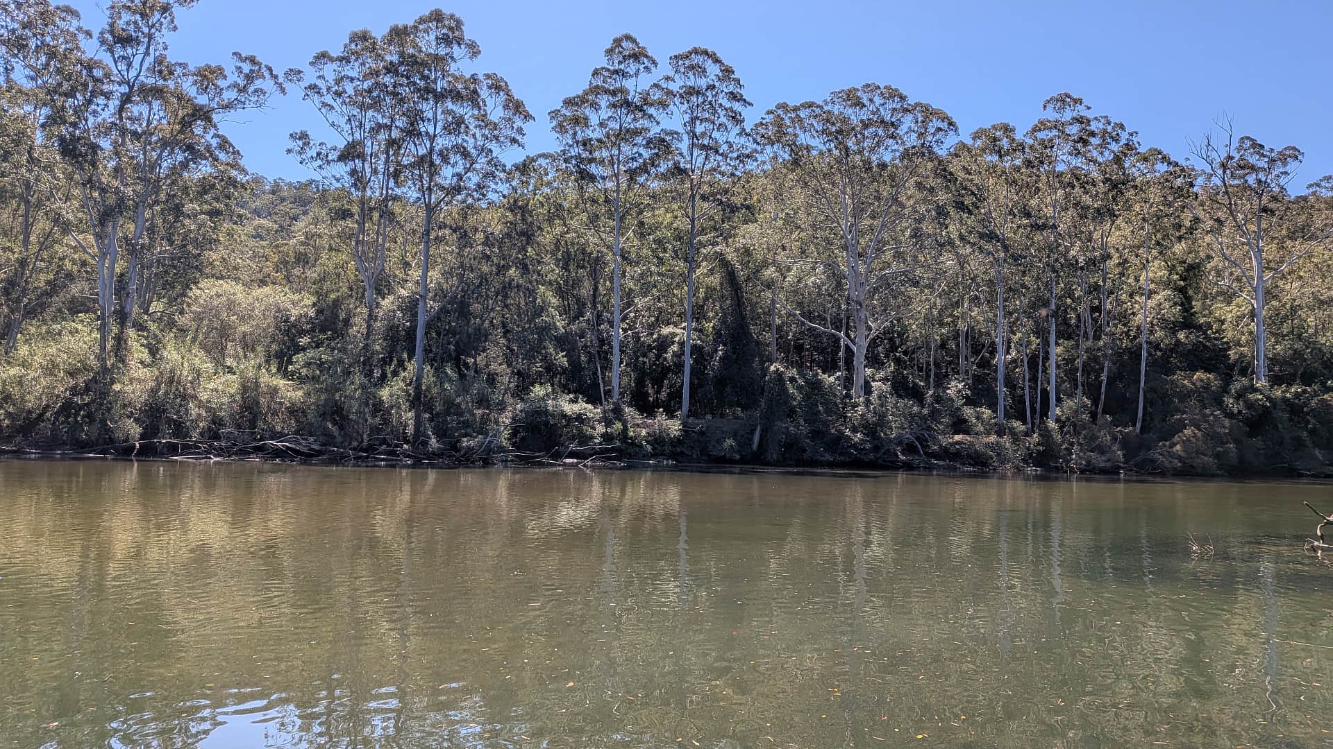 Colo River Hut