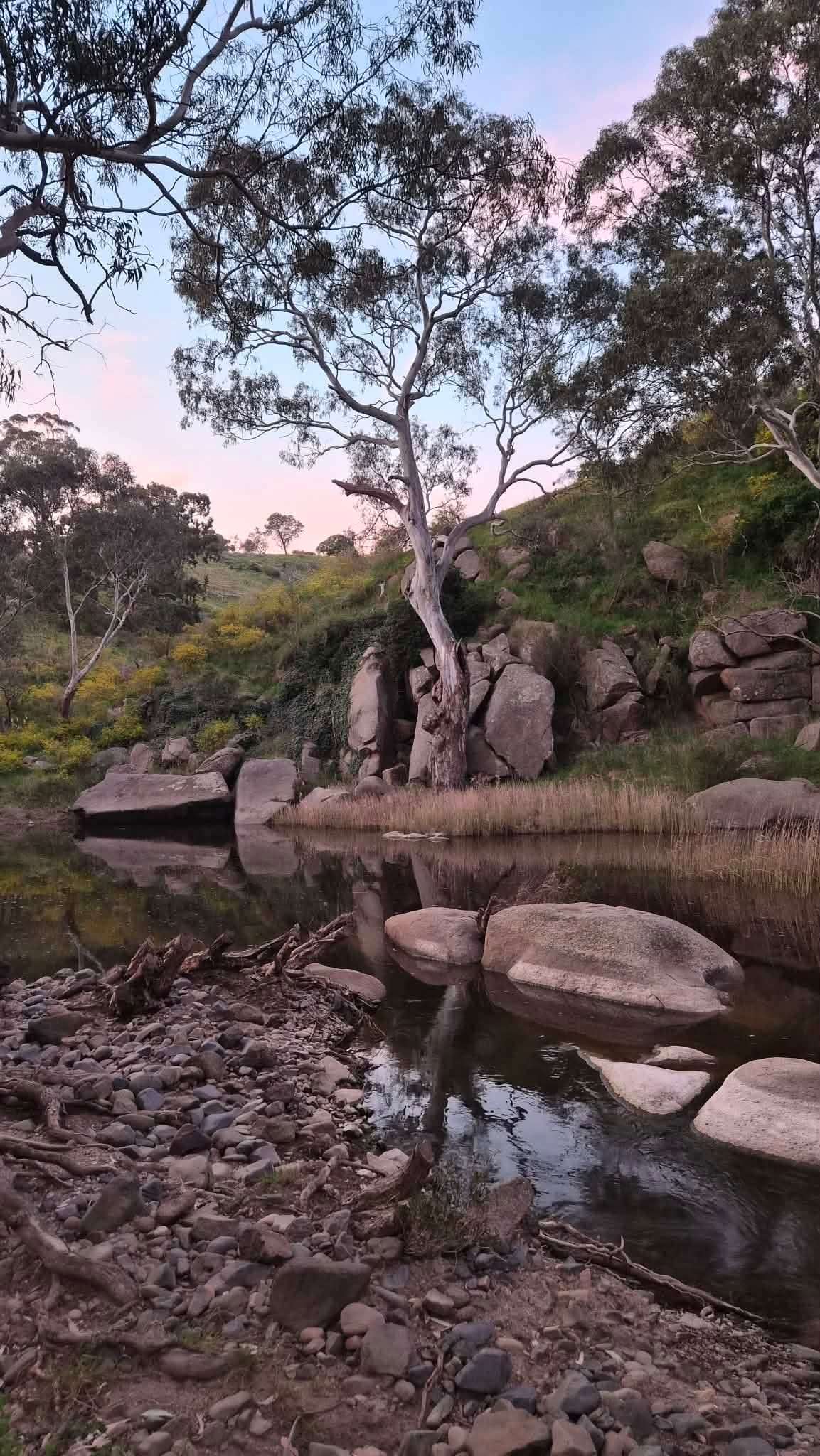 Boulder Brook Valley