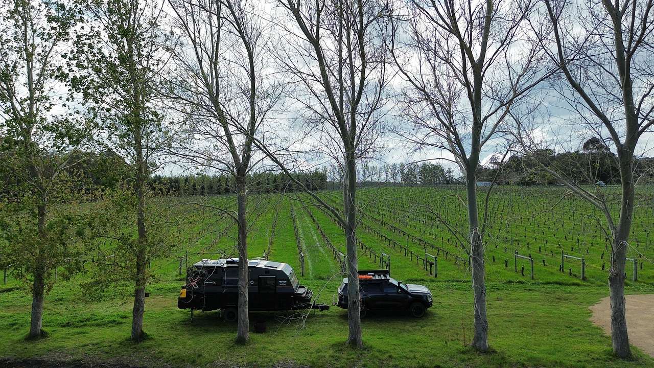 Jarvis Estate Winery & Camping