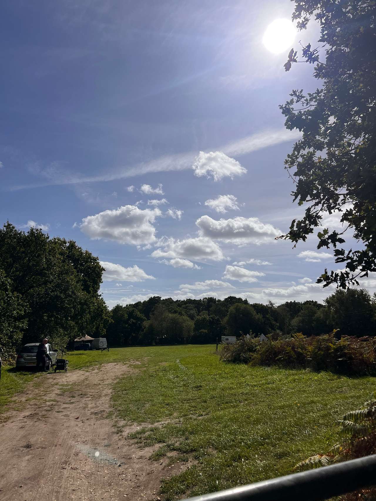 Crooked Willows Farm