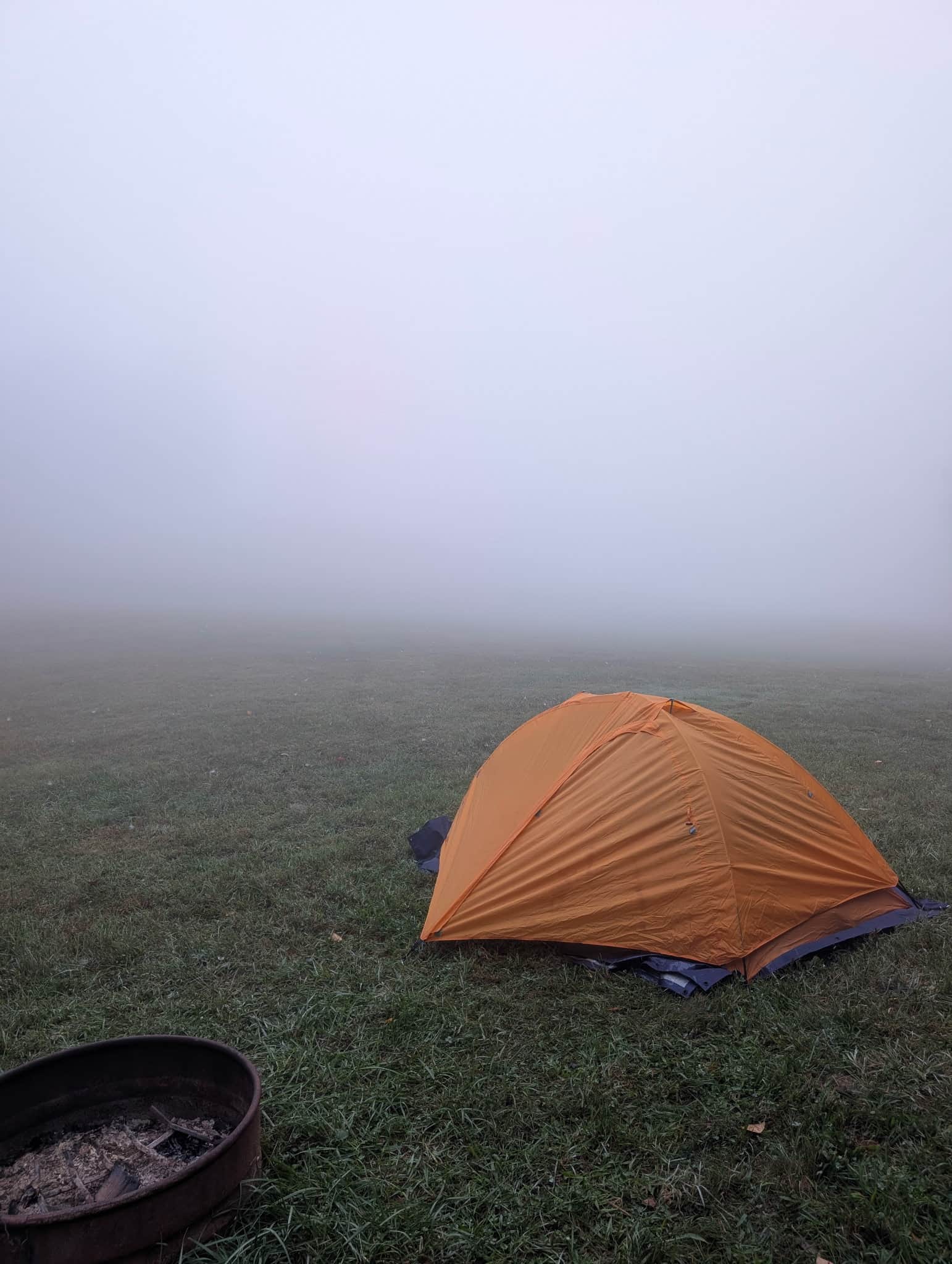 foggy morning