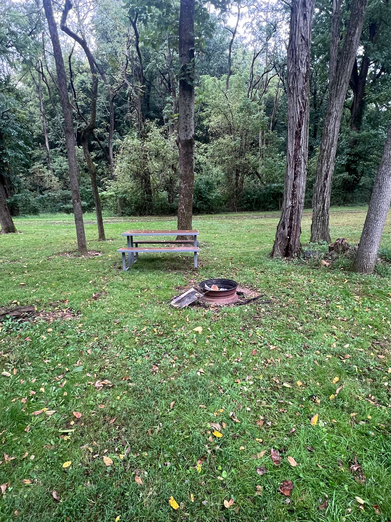 Our site for the night was nice and cozy 