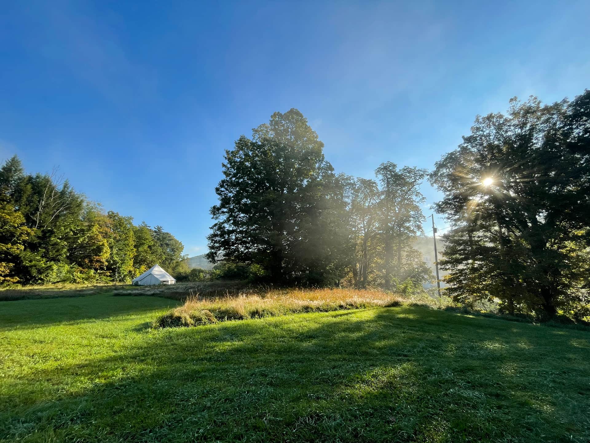 Field & Farm by Ancient Maples