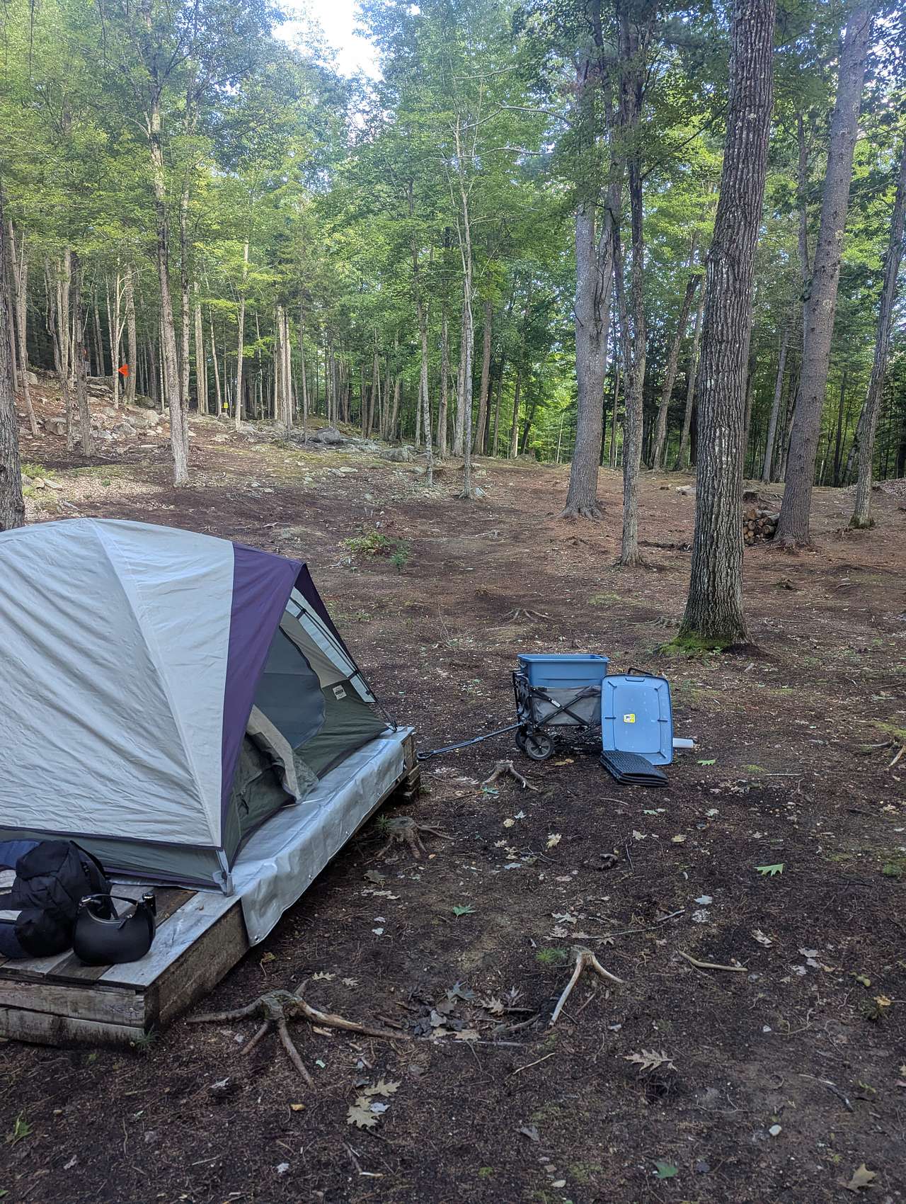Picture of the site