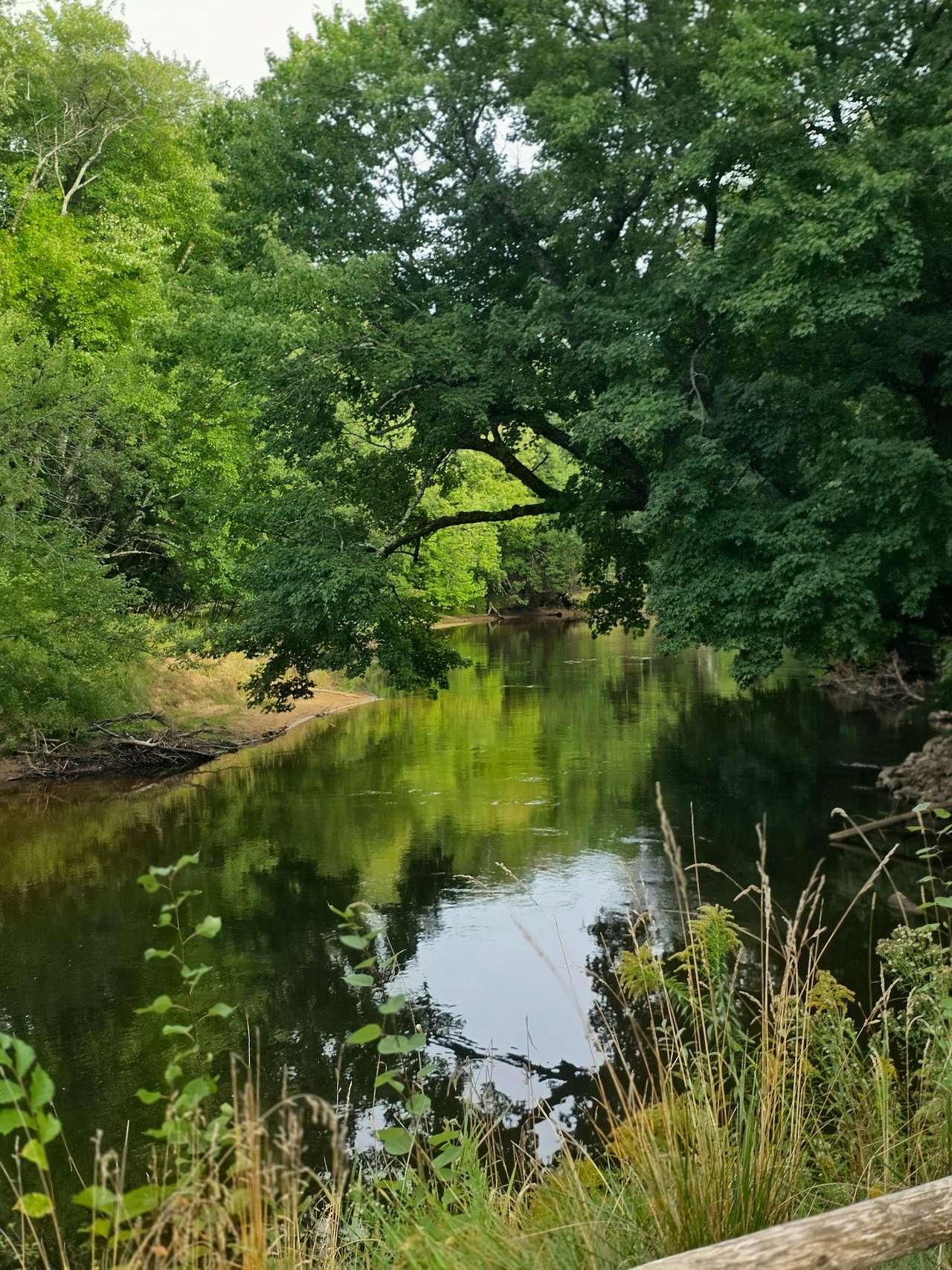 This was the view from our campsite #8.