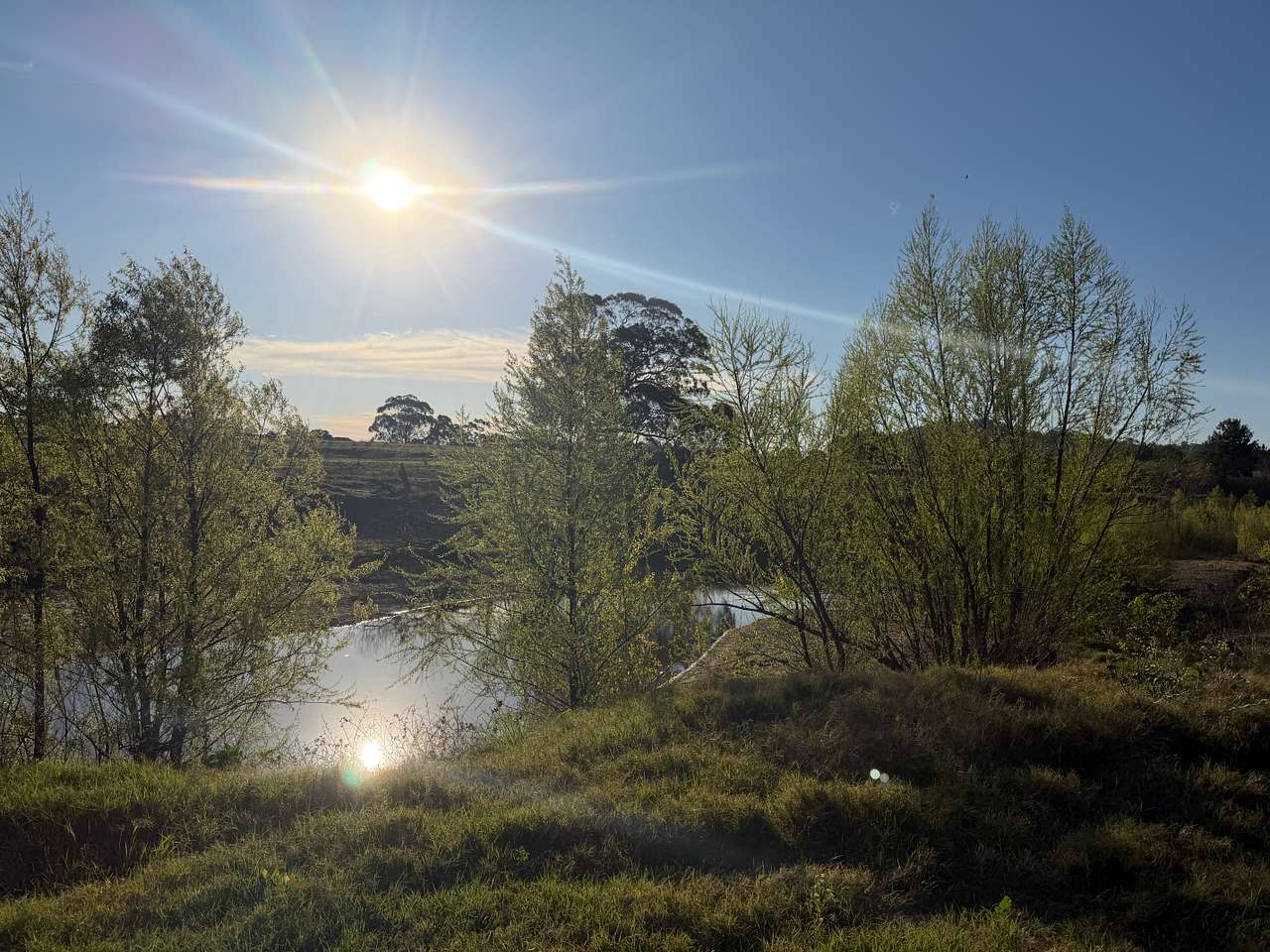 Ayr Farm Riverside Camp