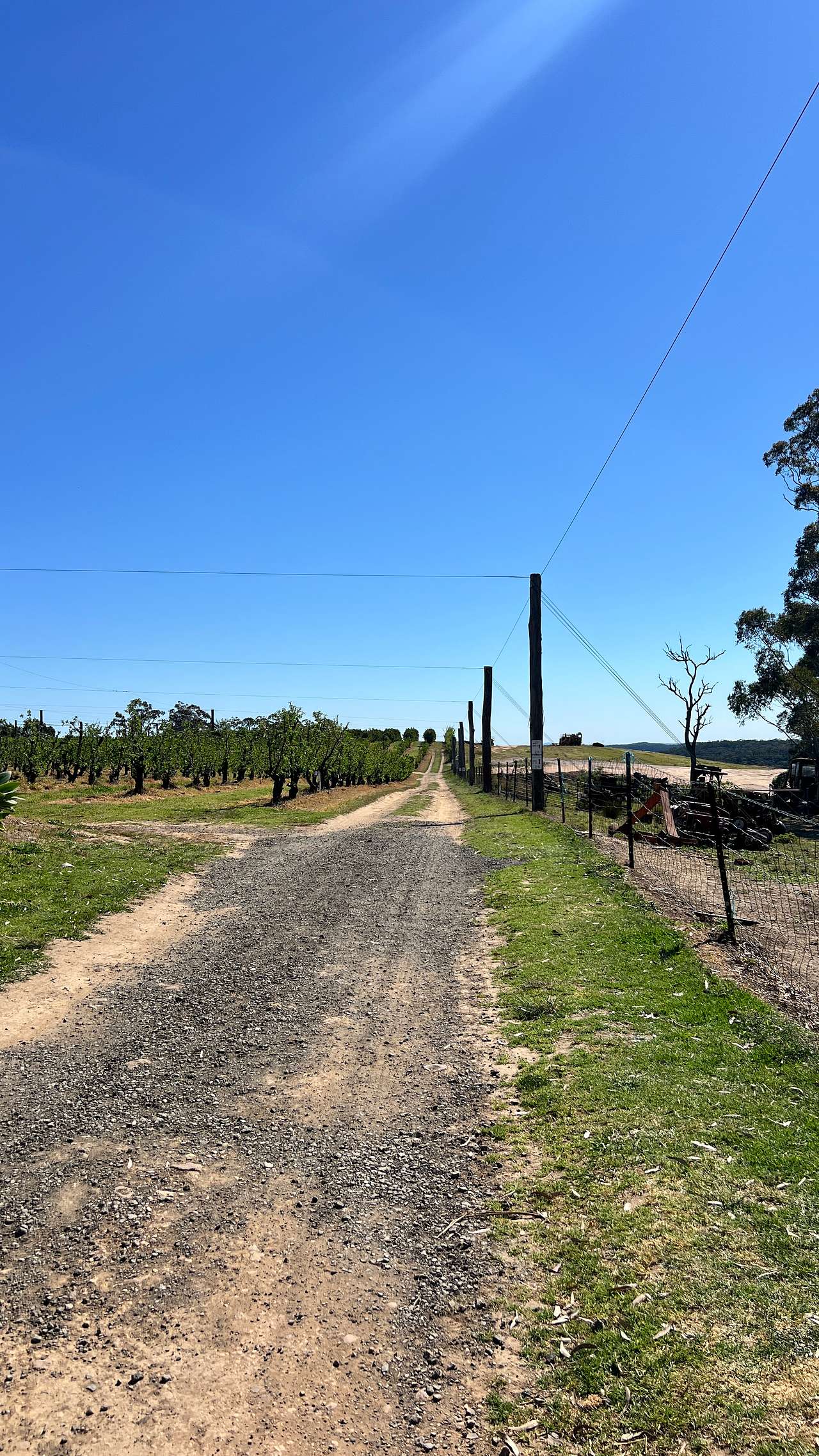 Canoelands Orchard Camping