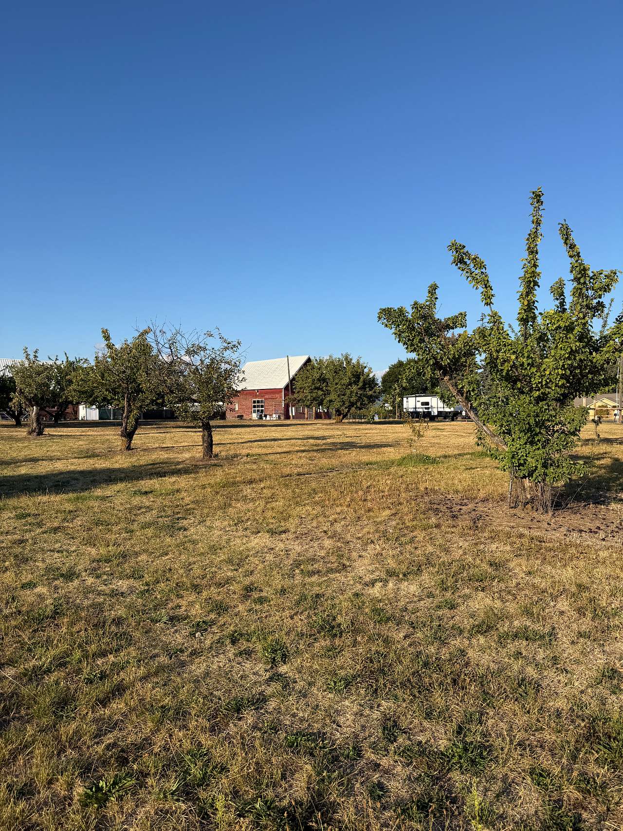 Nàdair Orchard