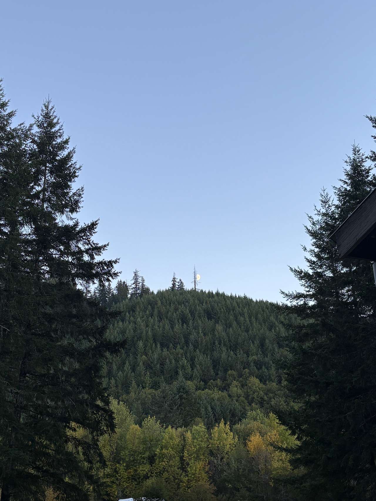 The Aloha Ranch
