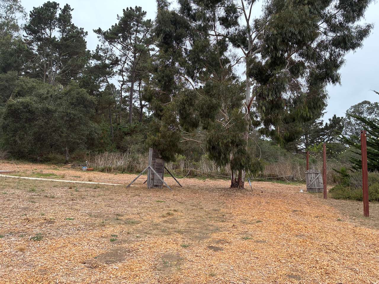 Salty Fox Retreat @ Peaceful Valley