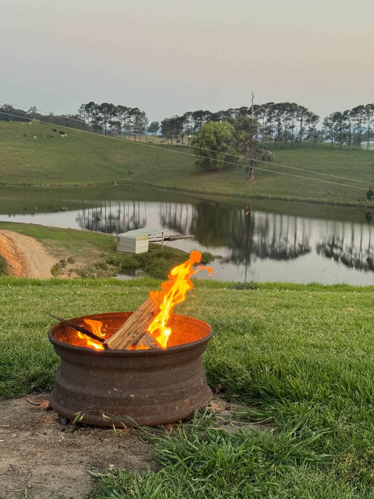 Evening fire
