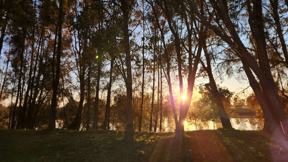 Sunrise over the river