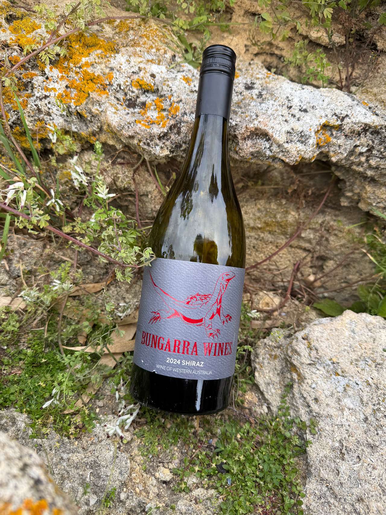 Bungarra Wines