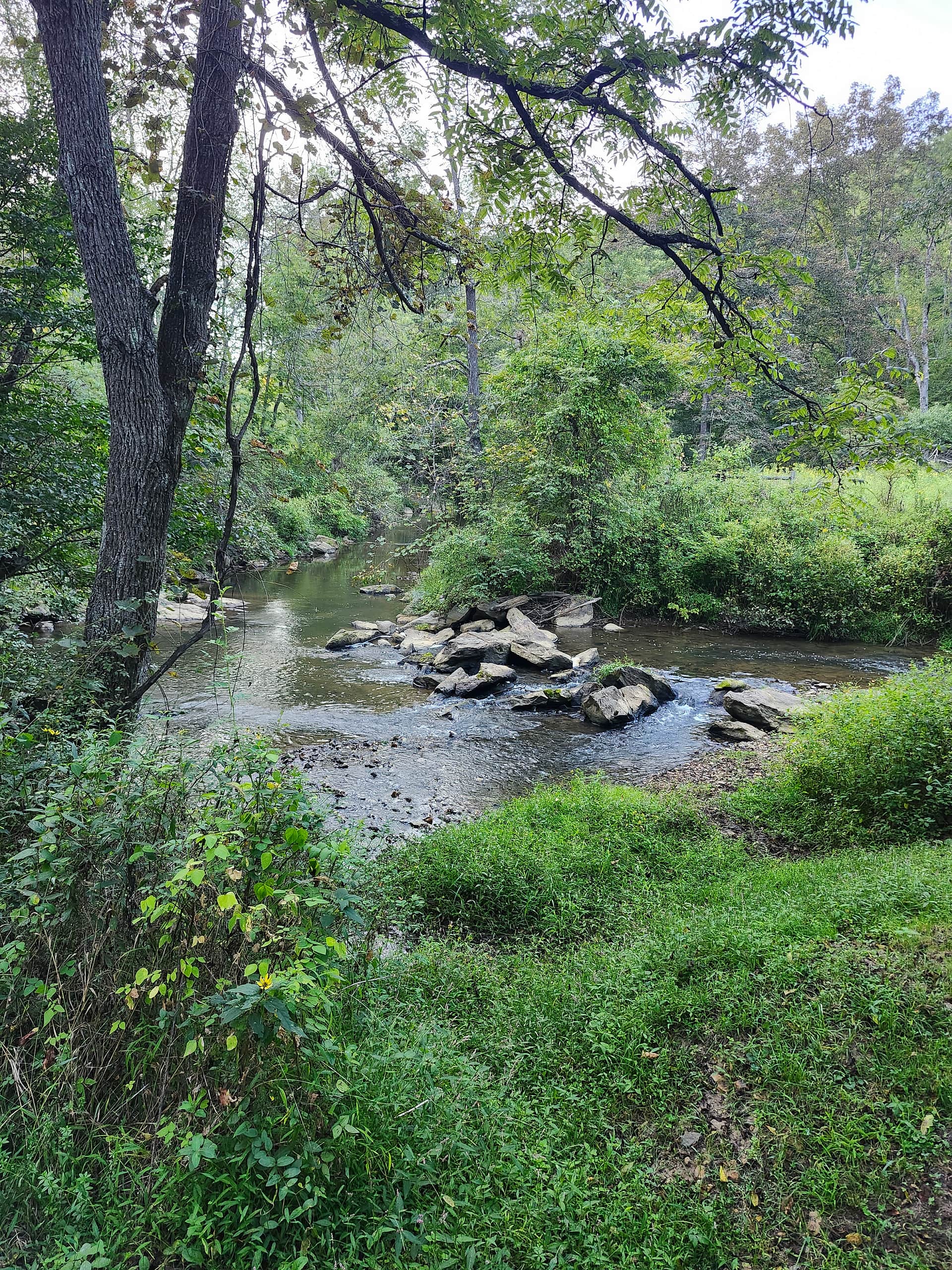 Hippie Hollow