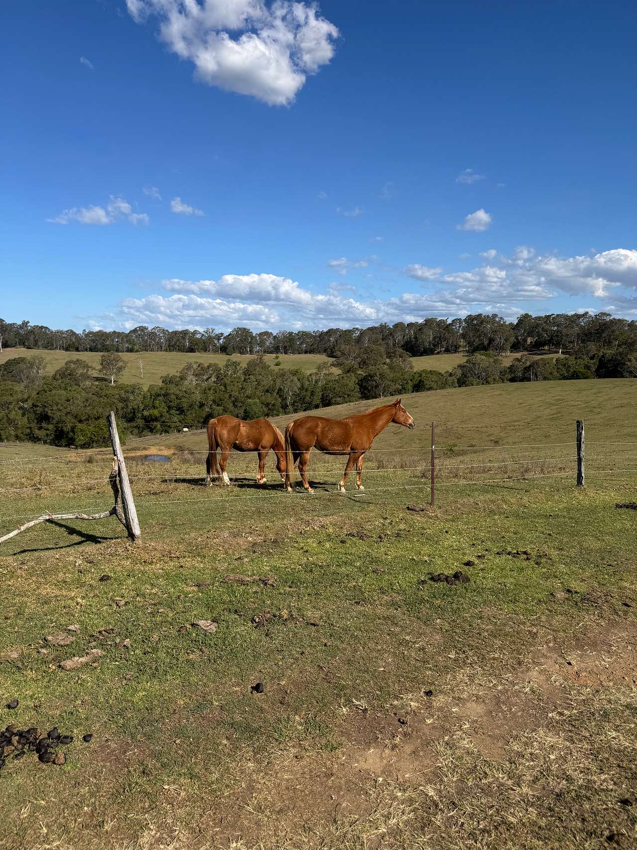 Rangetop Farm