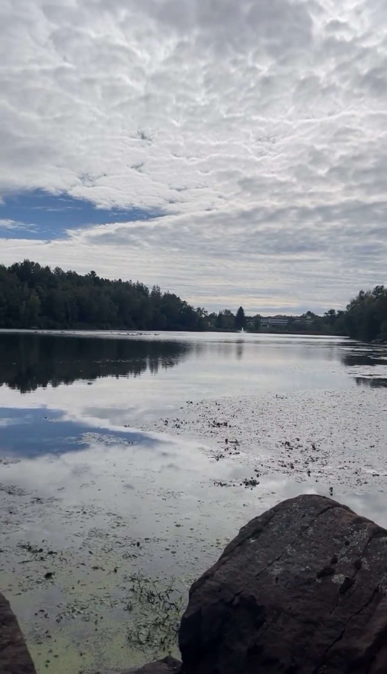 Sean Lake