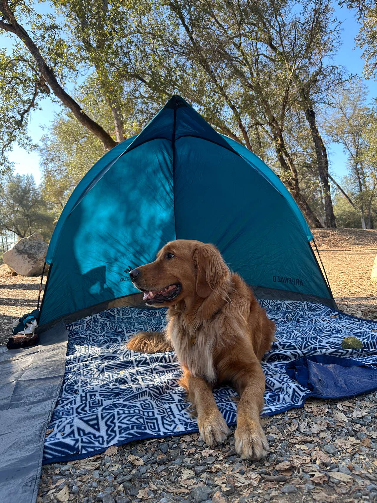 Manzanita Camping & Co