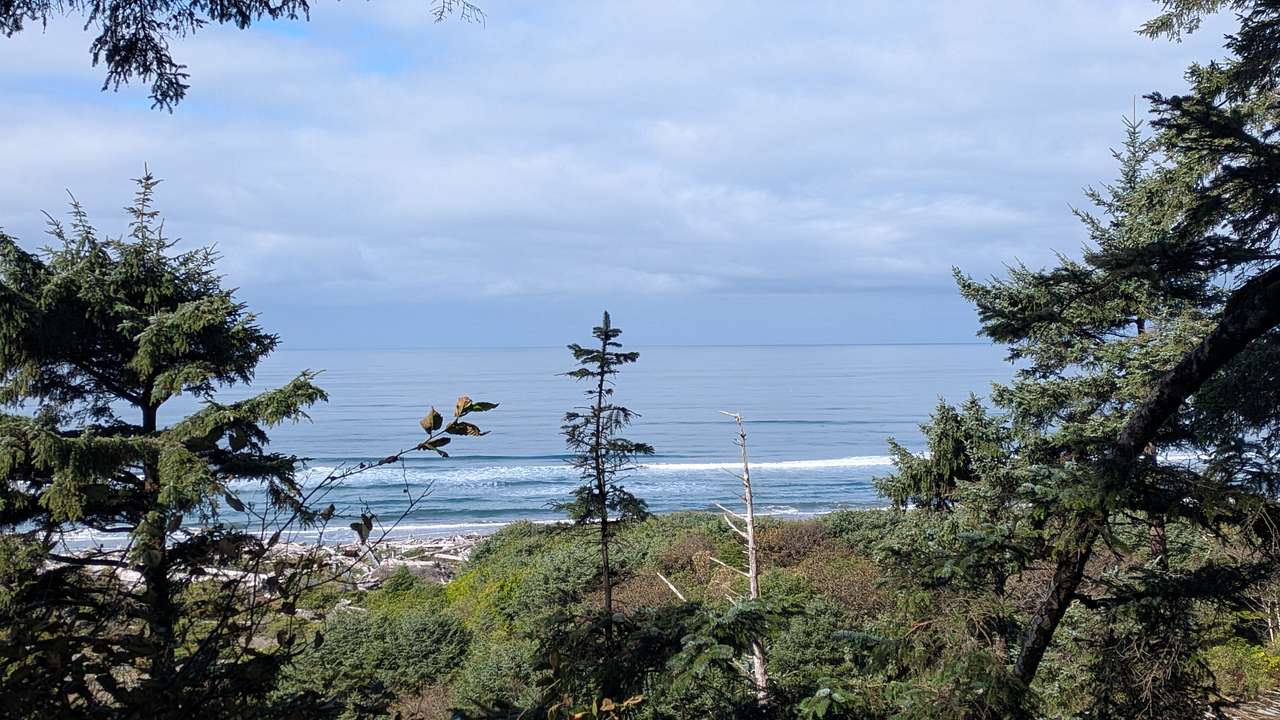 Aliya Preserve—WA Coast Eco-Retreat