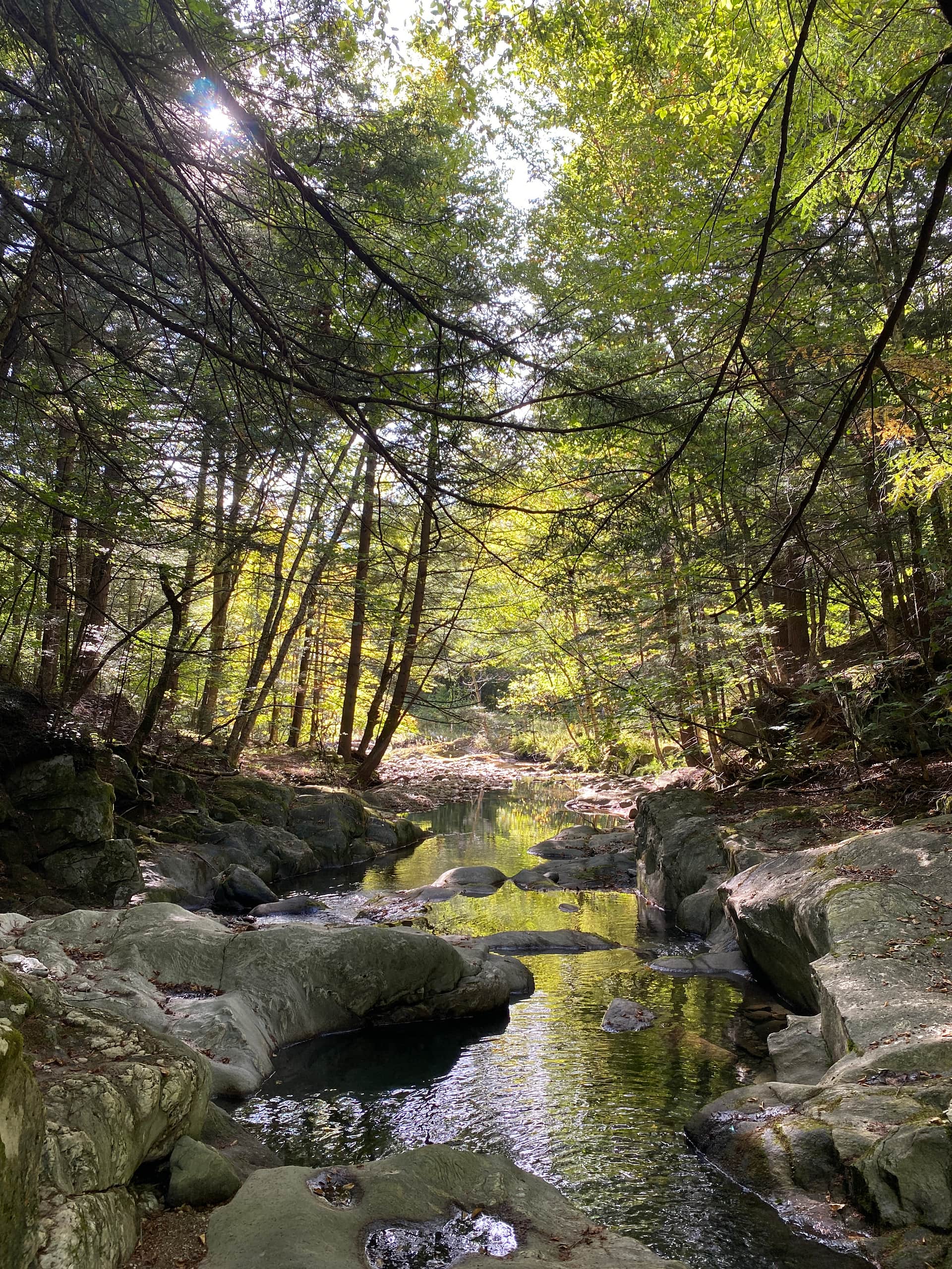 Cobb Brook Falls