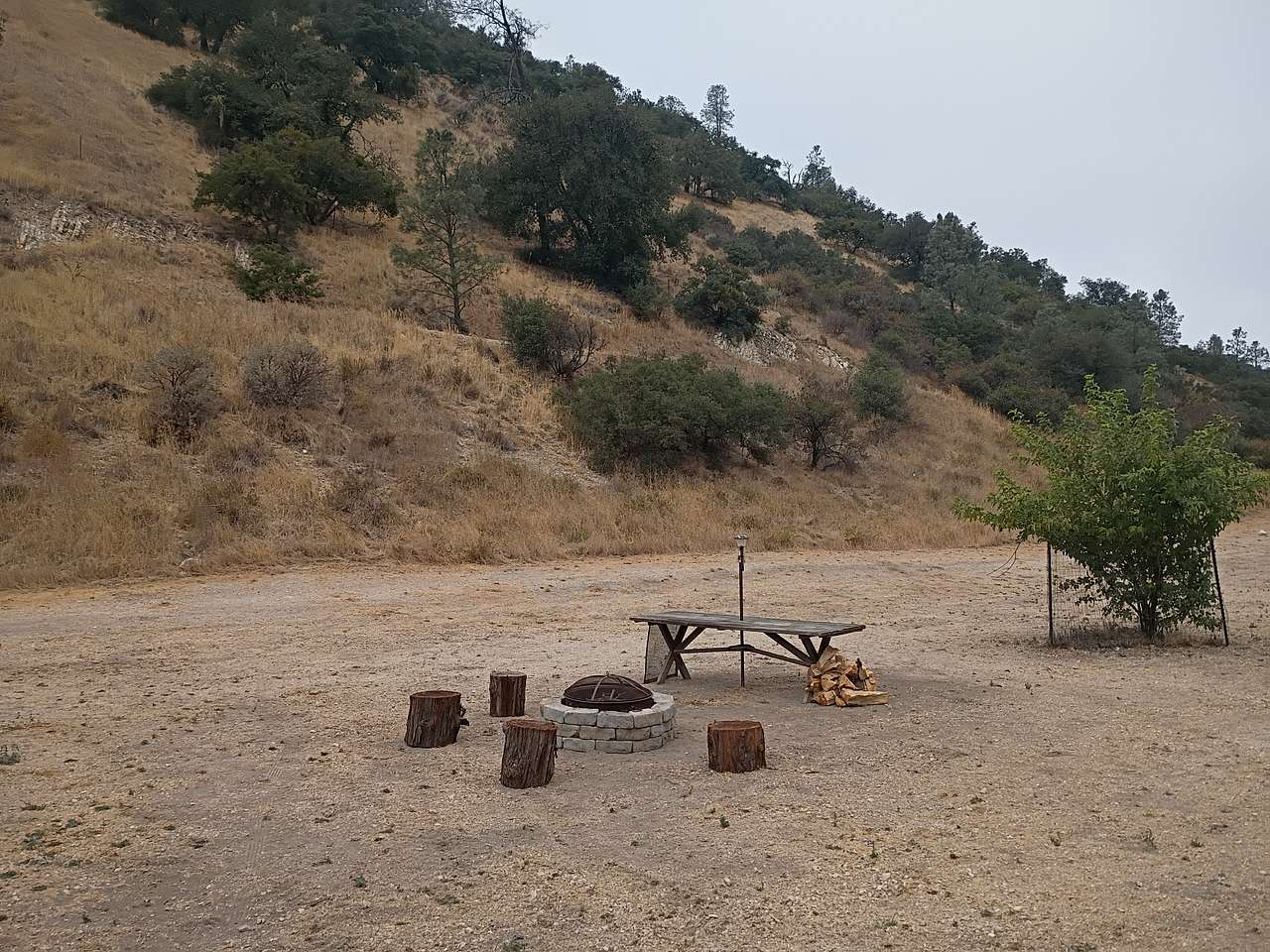 Picture of the site