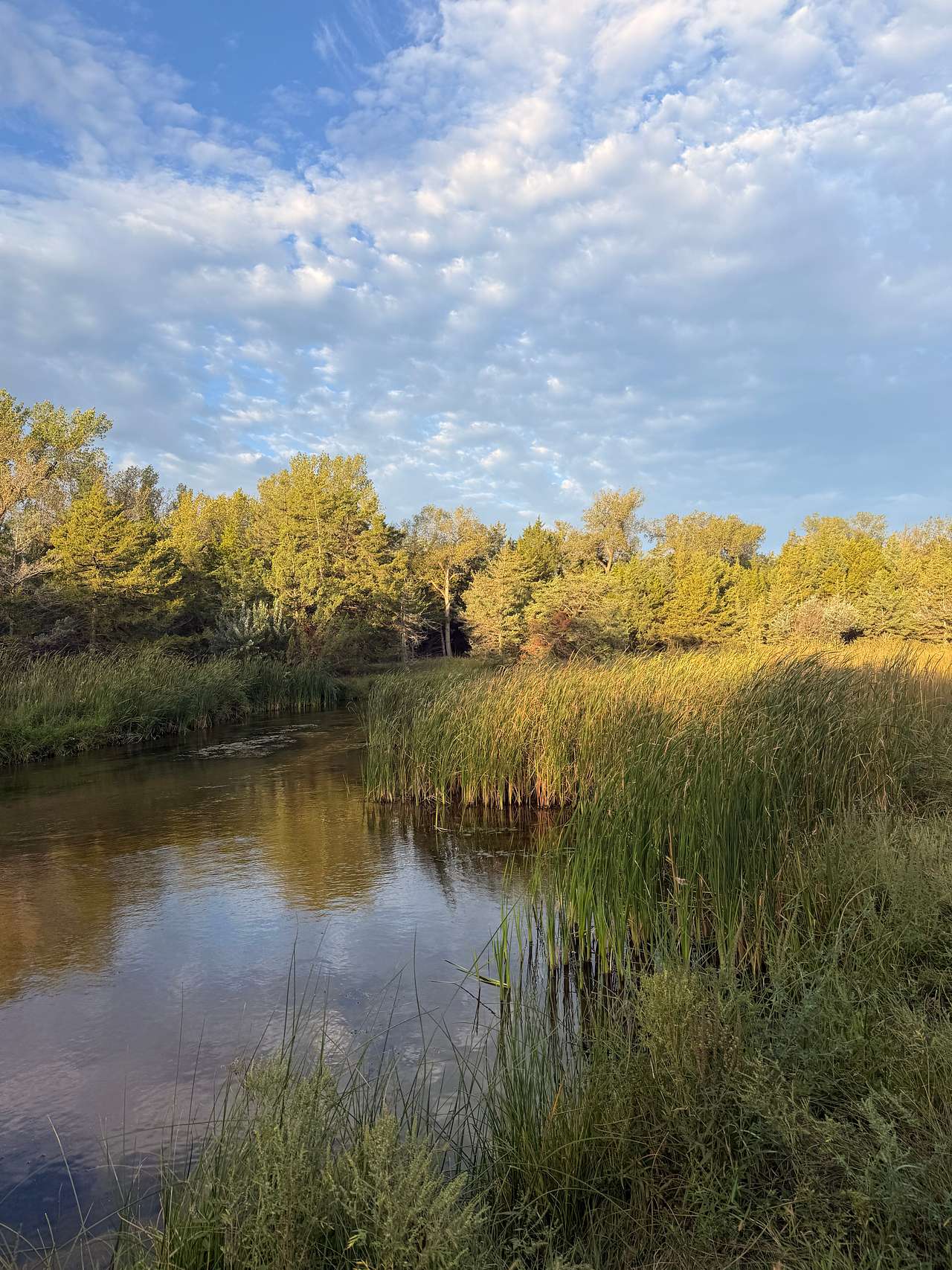 NC River Ranch – I-80 RV & River Camping