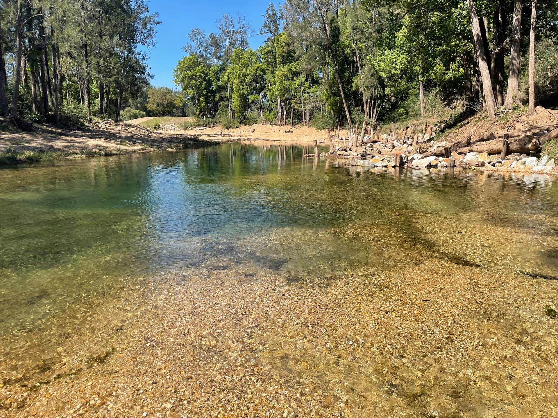Great swimming