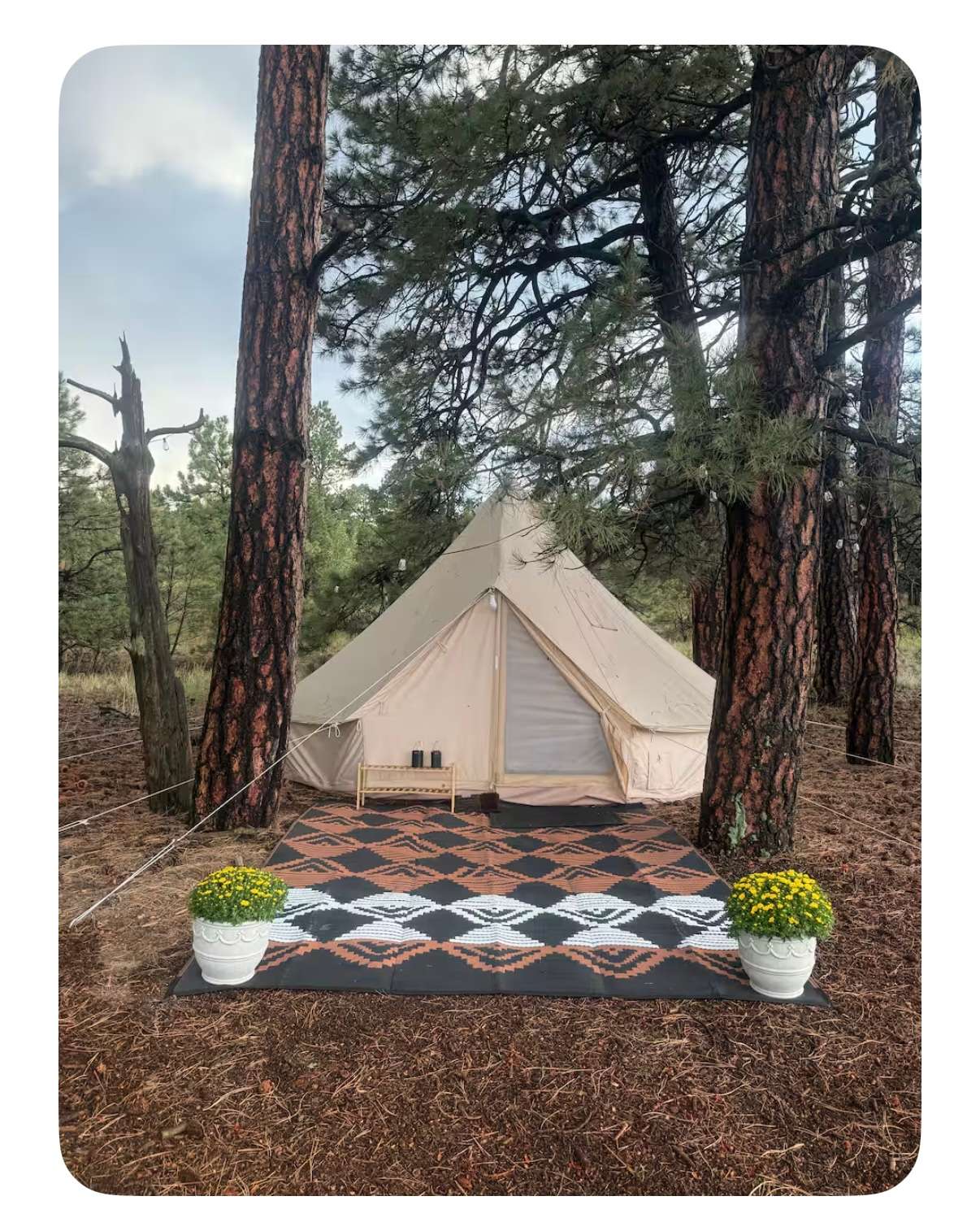 Private 120-Acre Horse Sanctuary