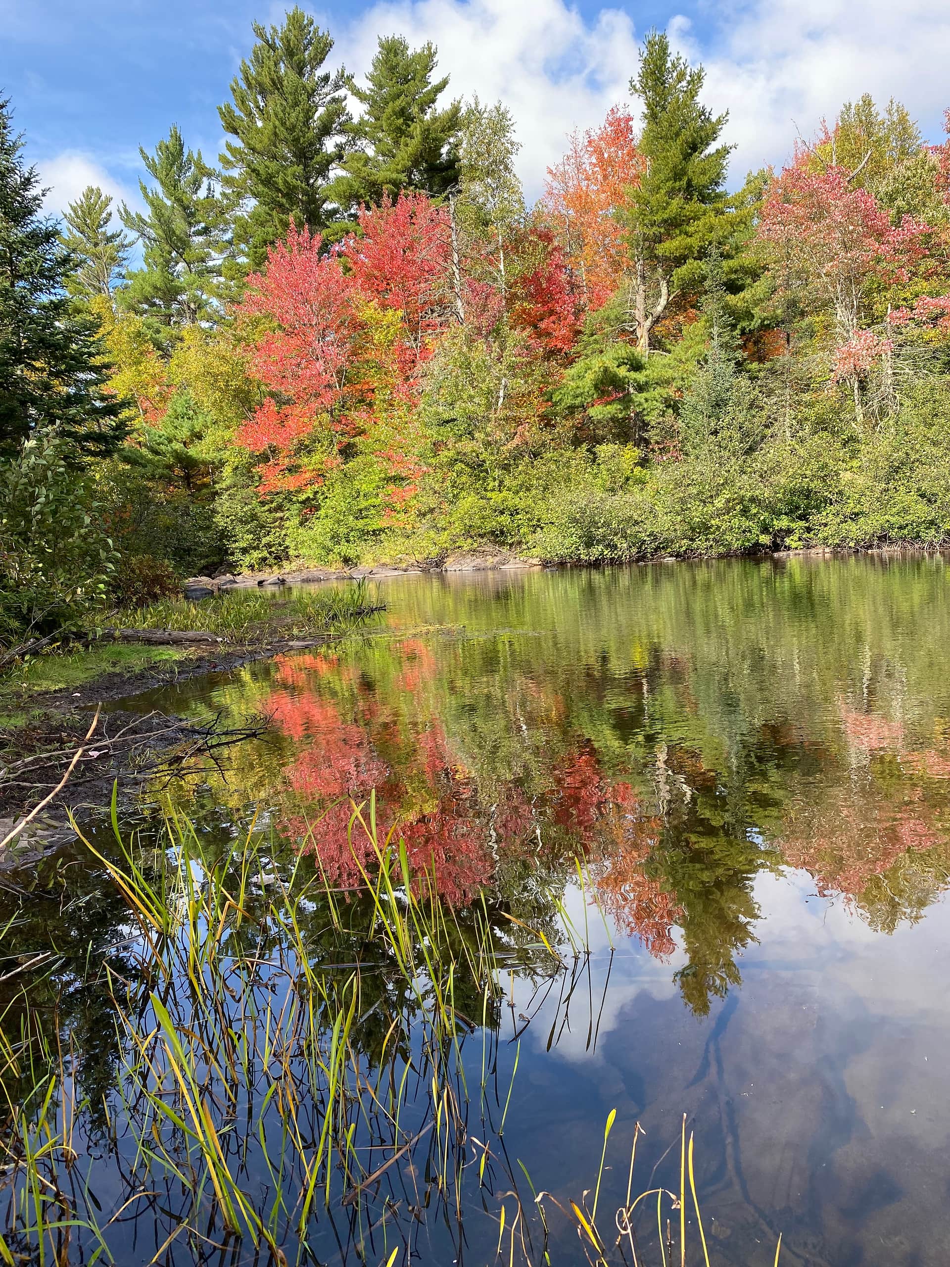 Bad River Wilderness