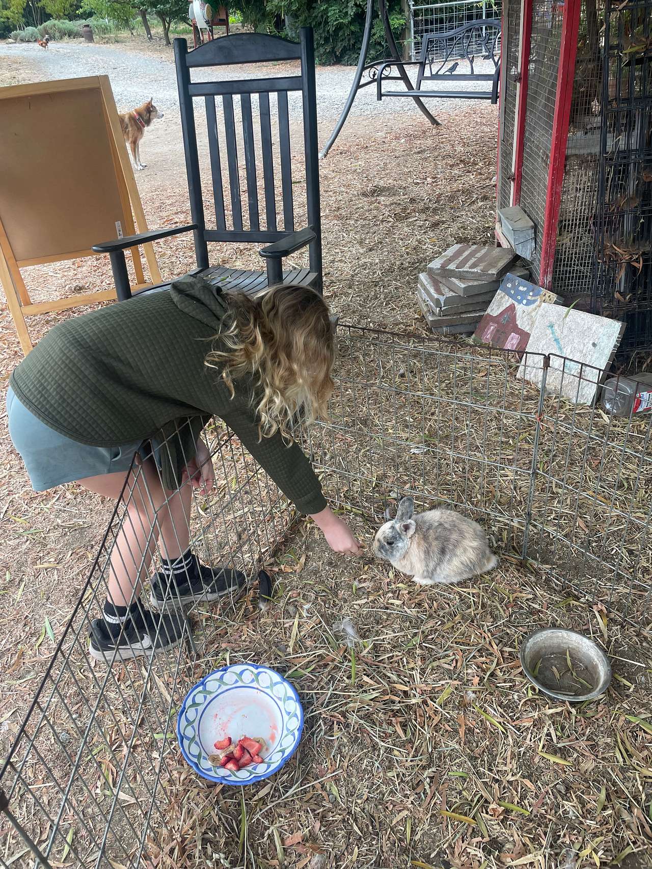 Windsor Family Farm