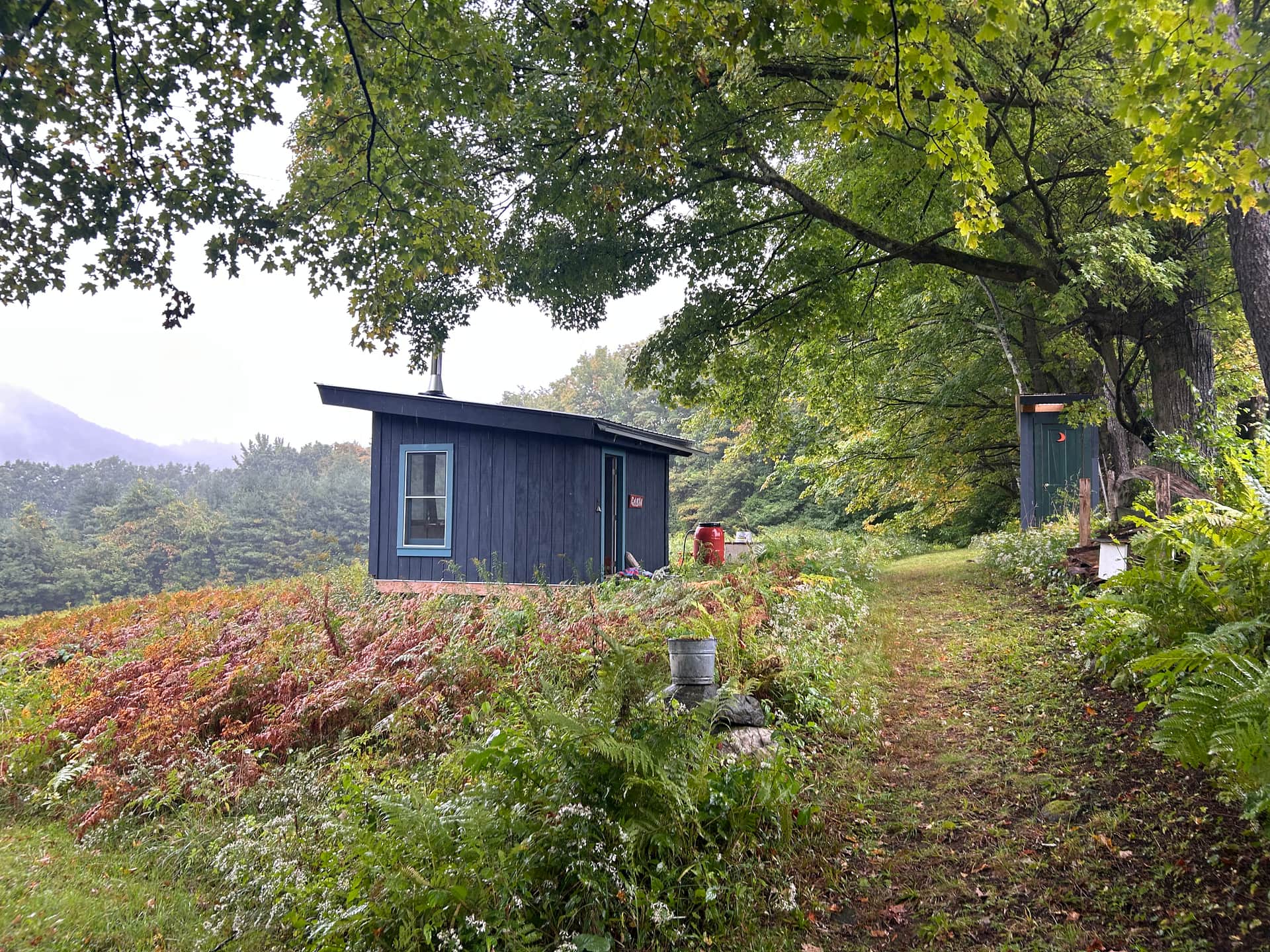 The Cabin