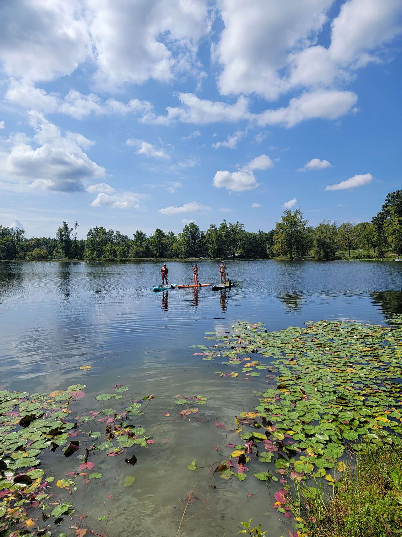 Private Lakefront Camp Free Kayaks
