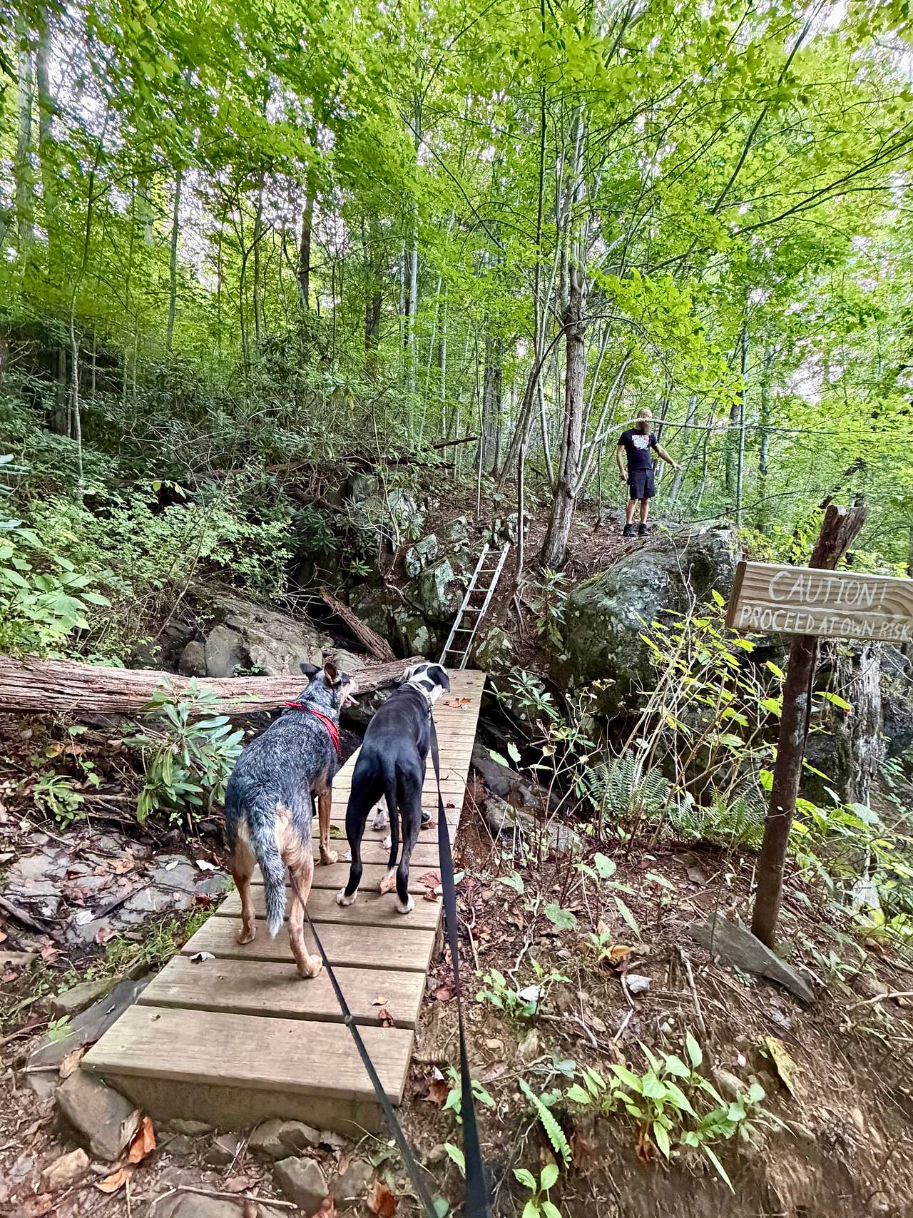 Outercamp, Blue Ridge Falls Retreat