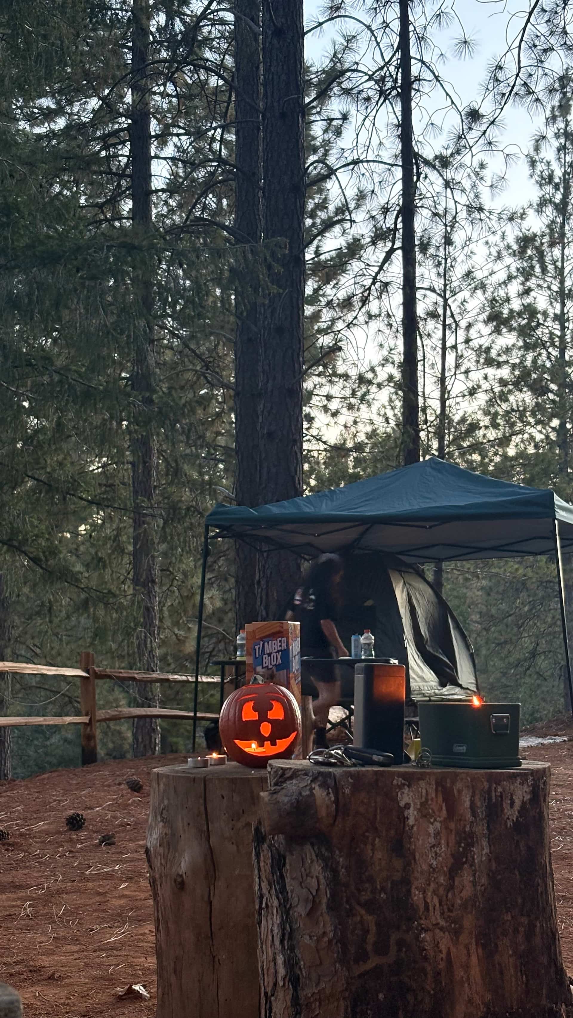 Manzanita Mountain