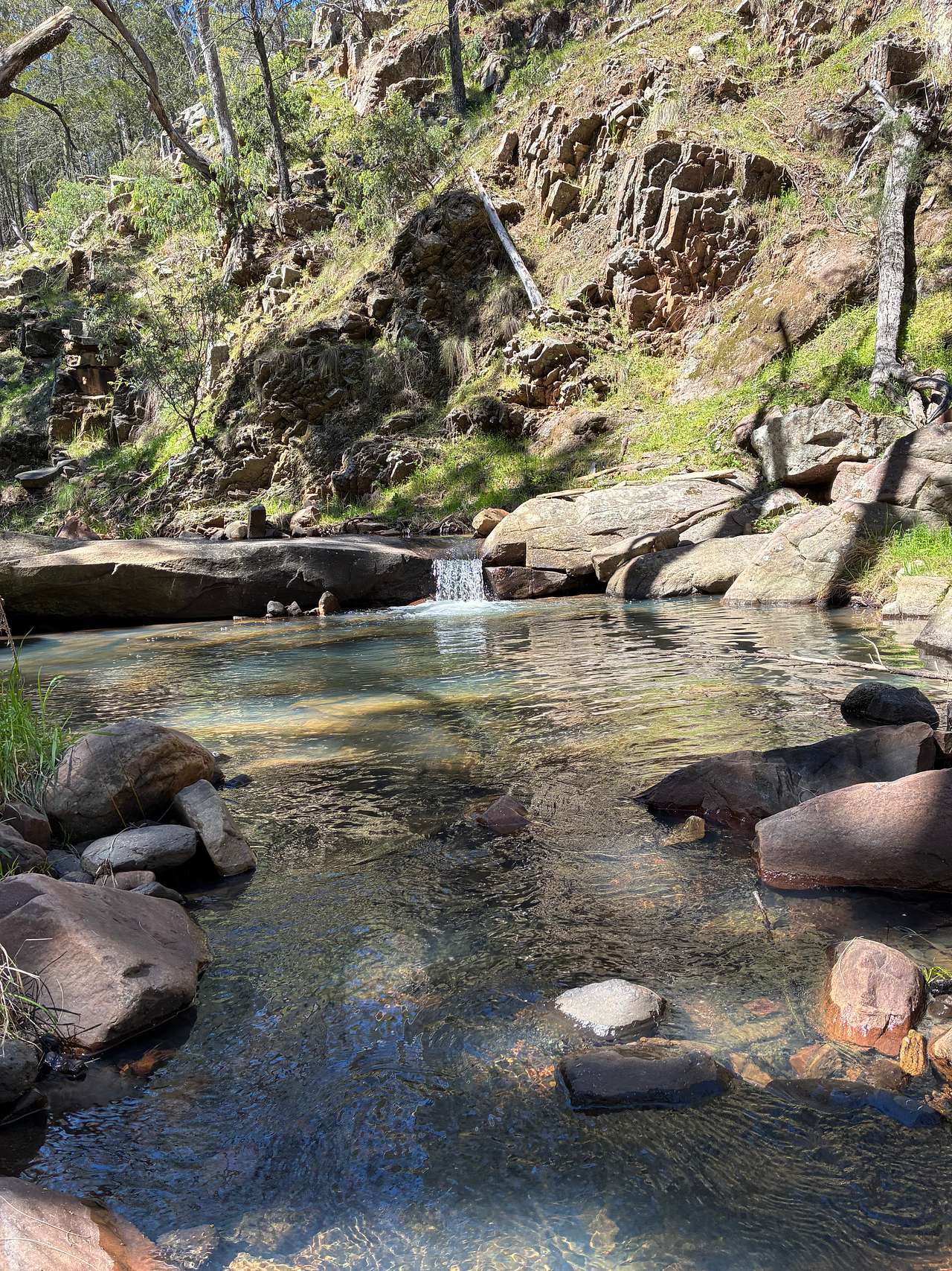 Wombats Hut
