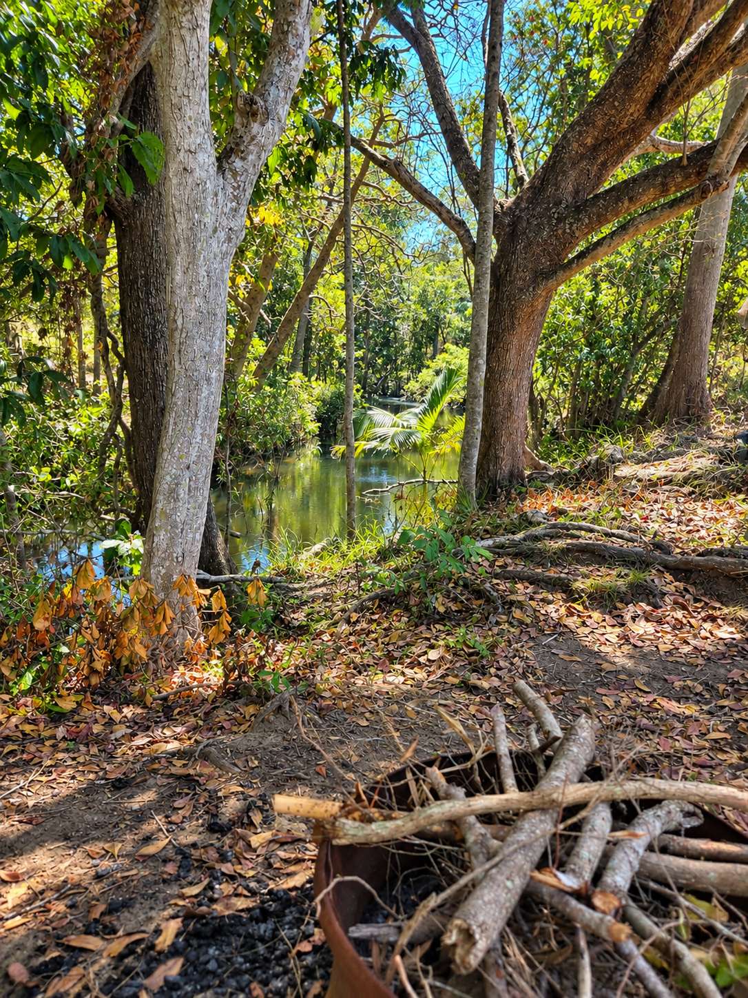 Cattle Camp, Sarina, QLD