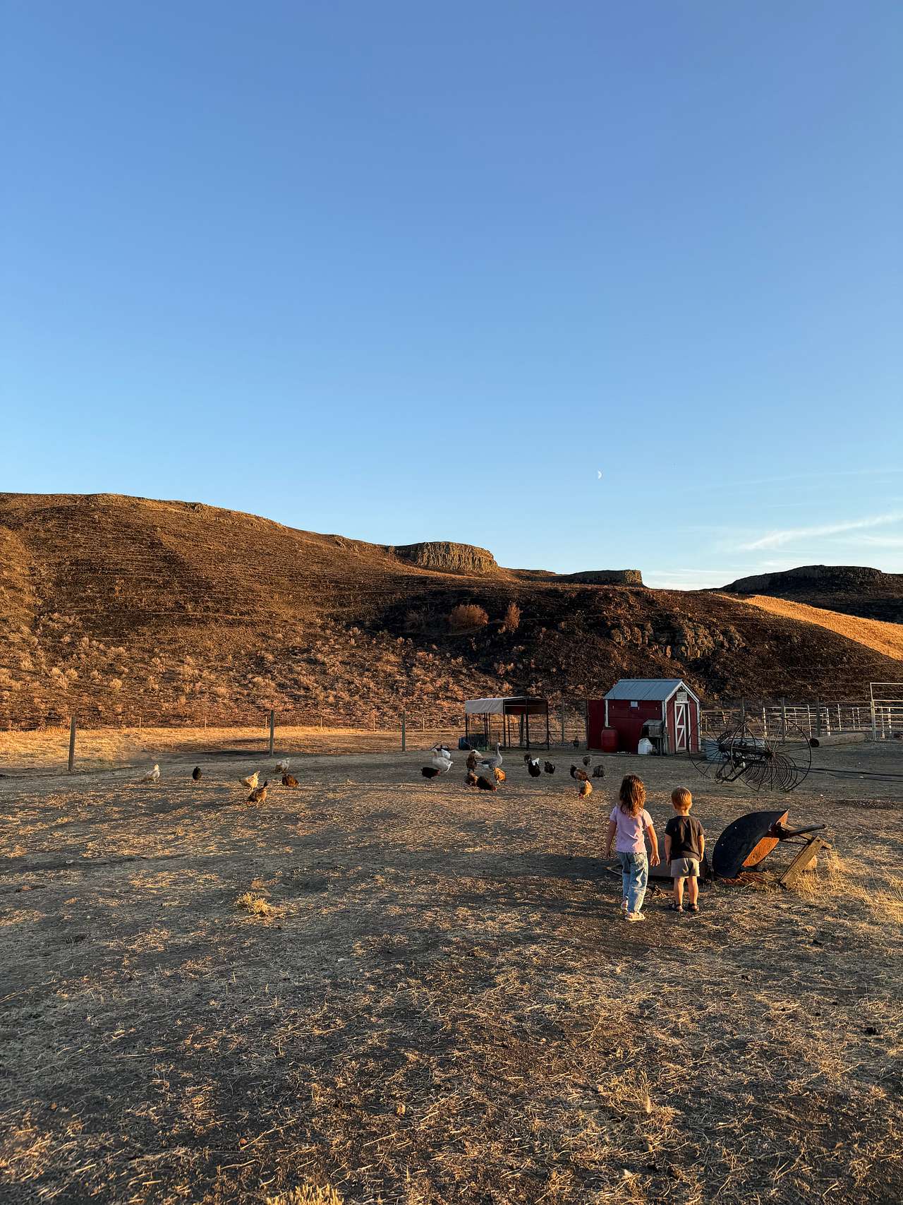 Lava Ranch (Hoopers Crossing)