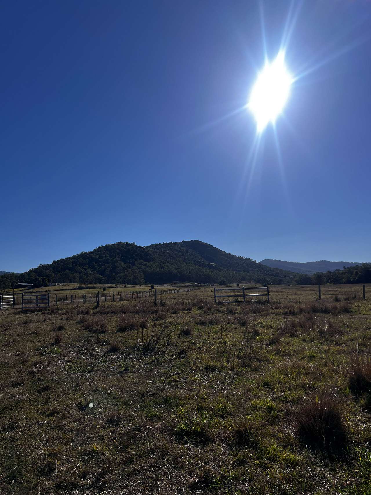 Cattle Camp, Sarina, QLD