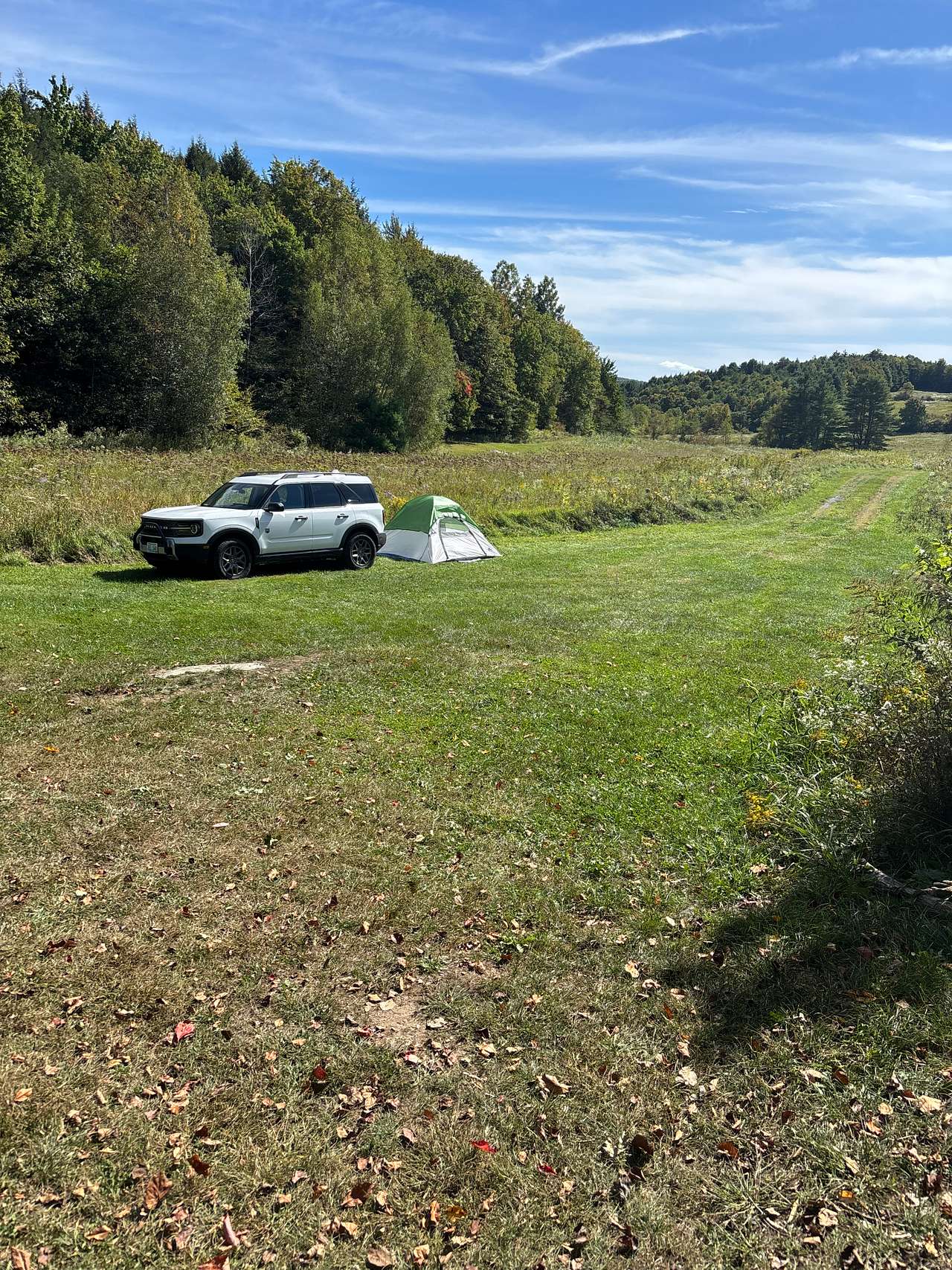 Harold's View Farm
